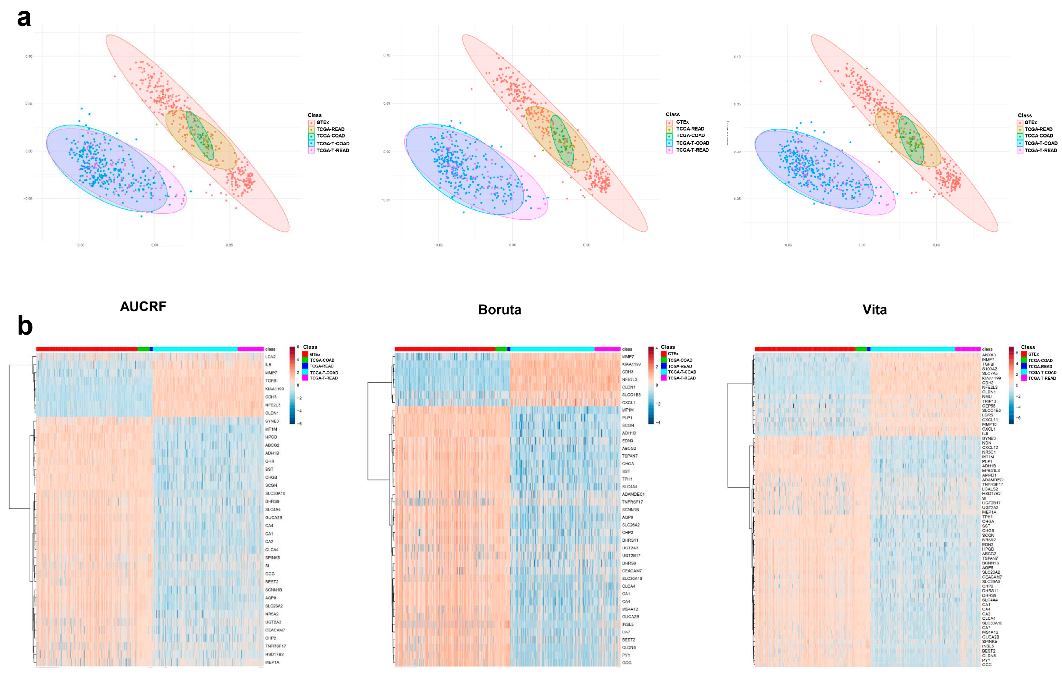 Ijms 20 00296 g002 Ijms 20 00296 g002
