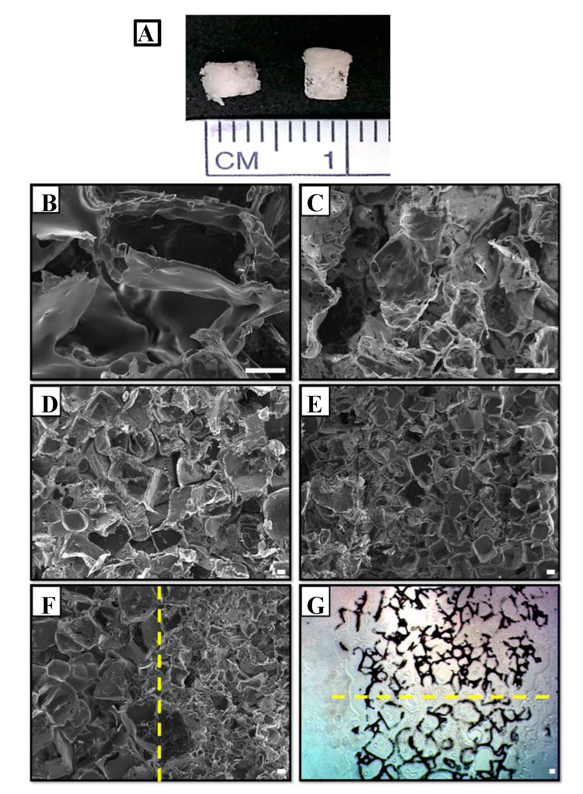 Open Source Single Particle Analysis For Super Resolution