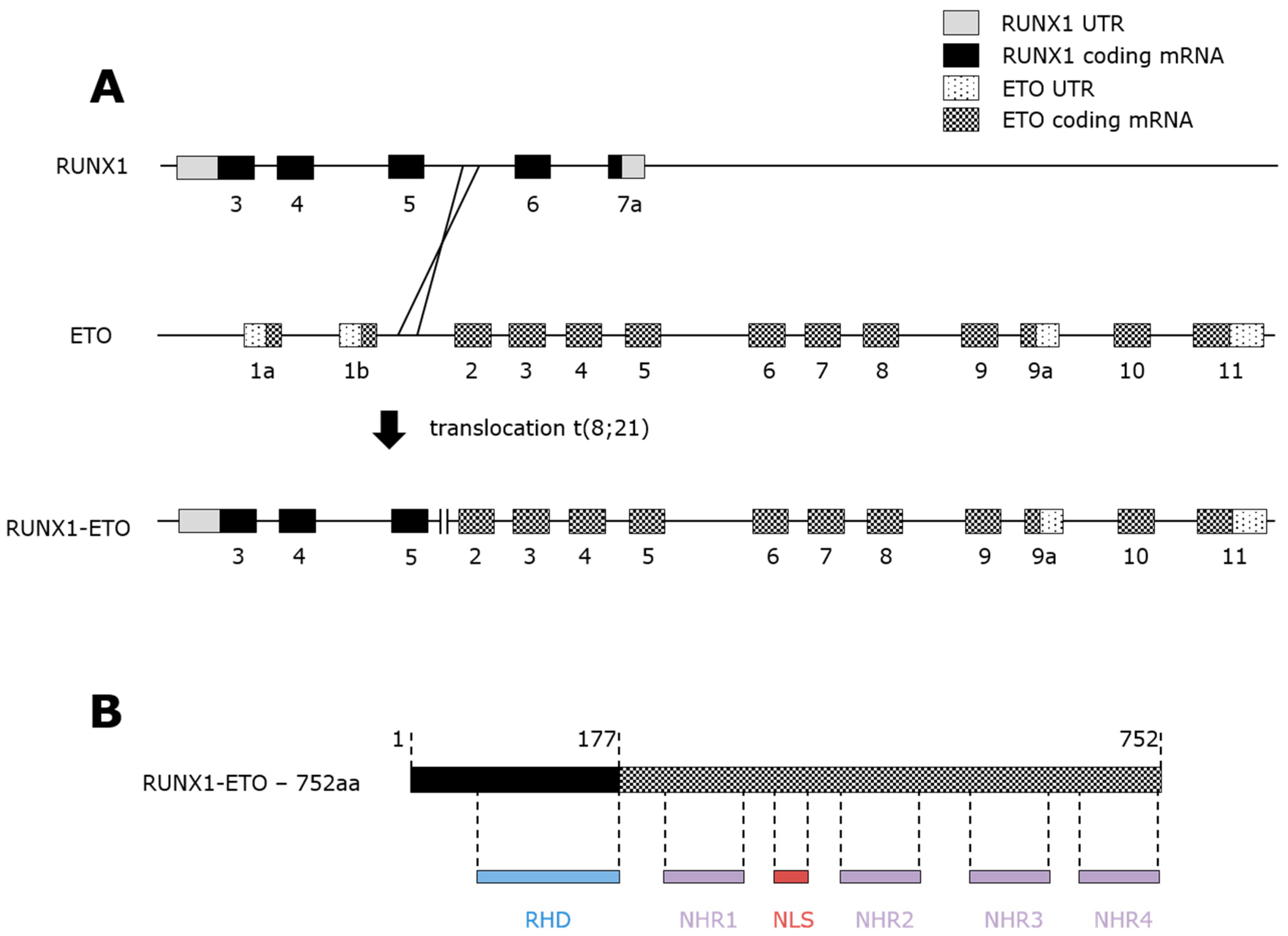Ijms 20 00350 g002 Ijms 20 00350 g002