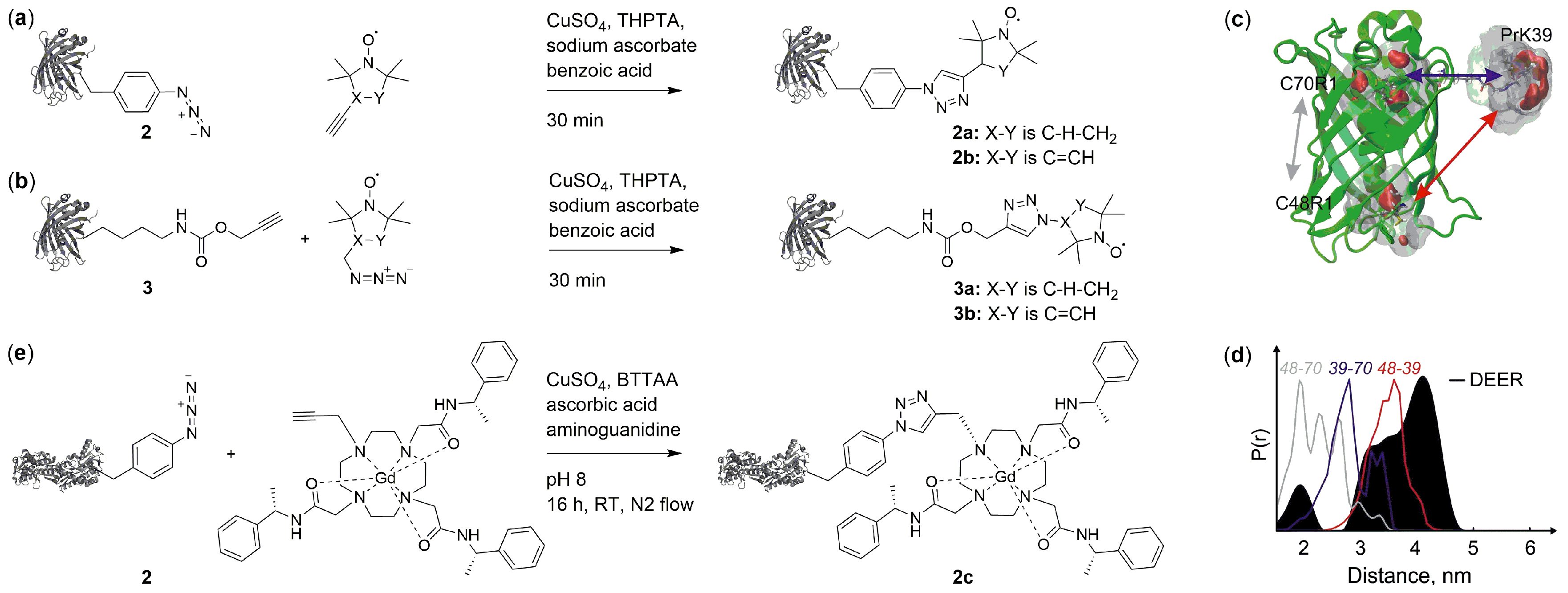 Ijms Free Full Text Expanding The Genetic Code For Site Directed Spin Labeling Html