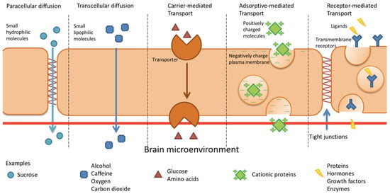 Ijms Free Full Text Review Of Current Strategies For Delivering Alzheimer S Disease Drugs Across The Blood Brain Barrier Html