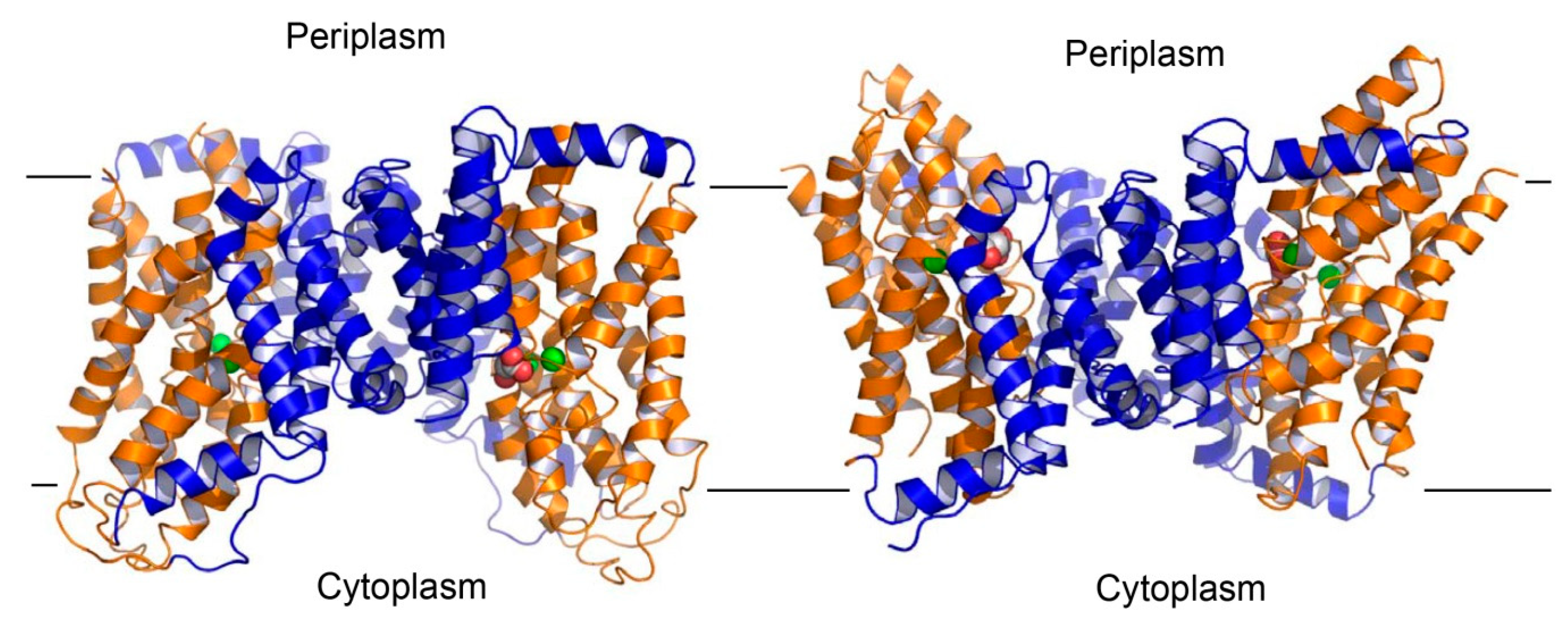 Ijms 20 00440 g008 Ijms 20 00440 g008