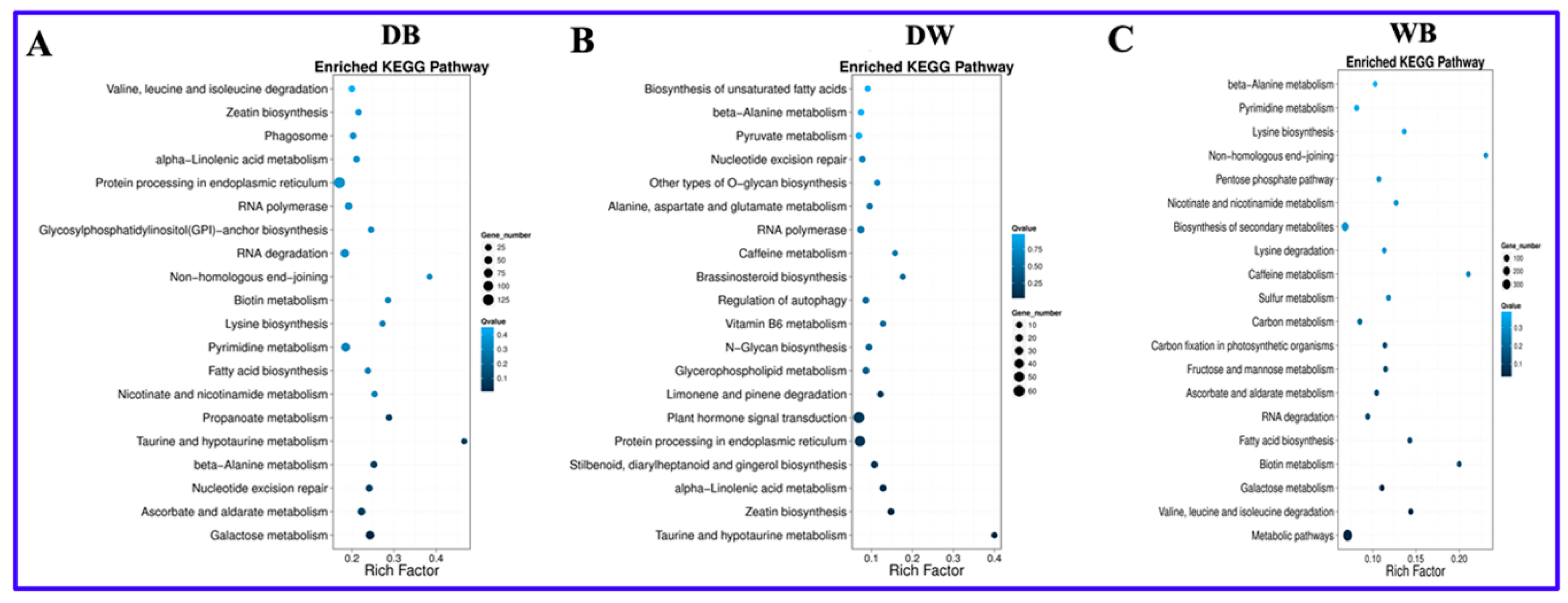 Ijms 20 00441 g004 Ijms 20 00441 g004