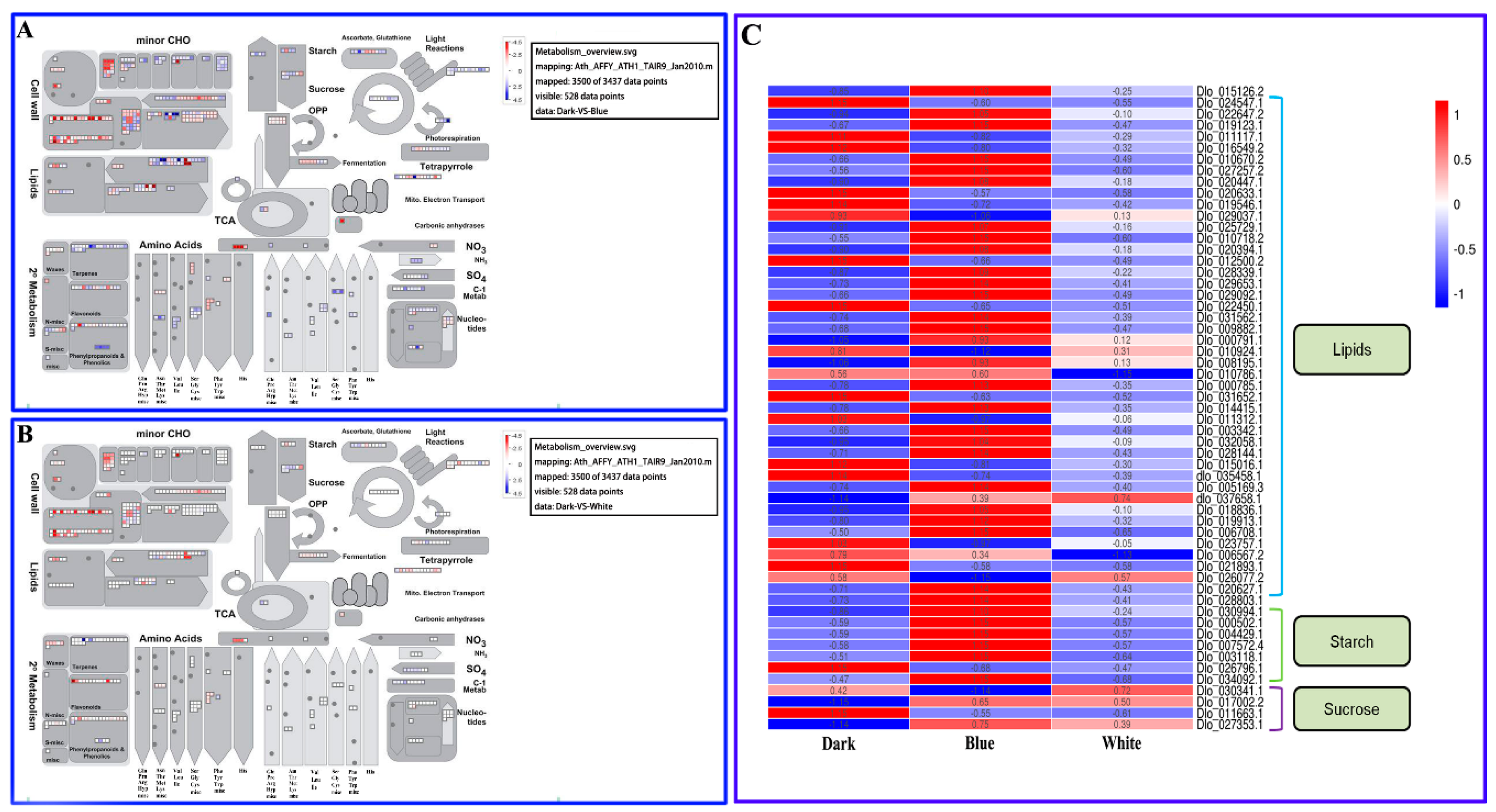 Ijms 20 00441 g005 Ijms 20 00441 g005