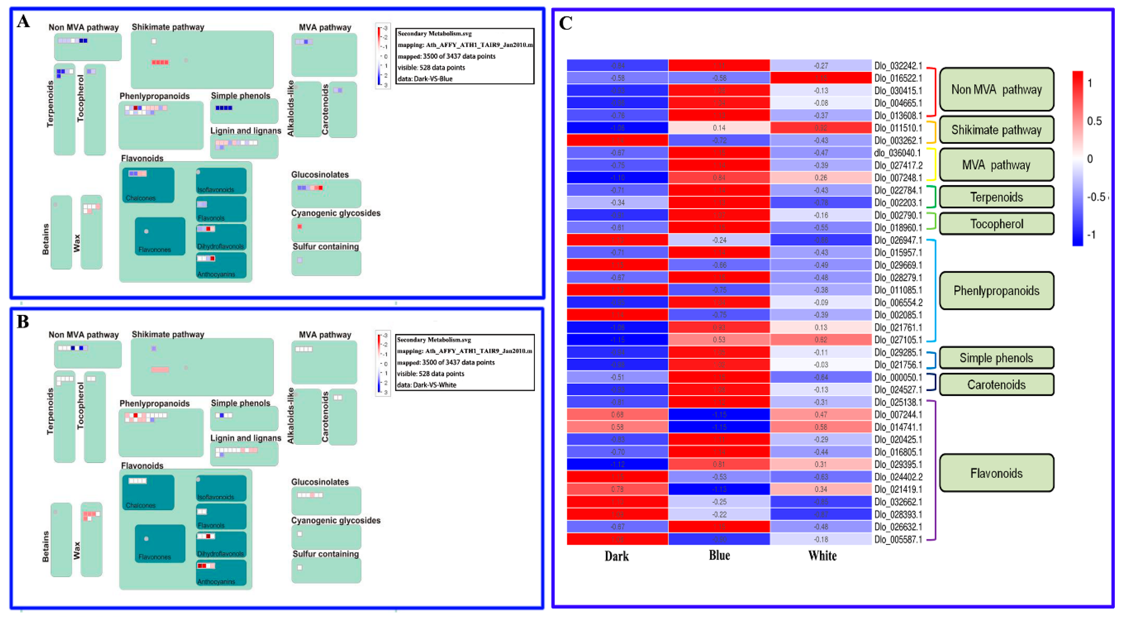 Ijms 20 00441 g006 Ijms 20 00441 g006