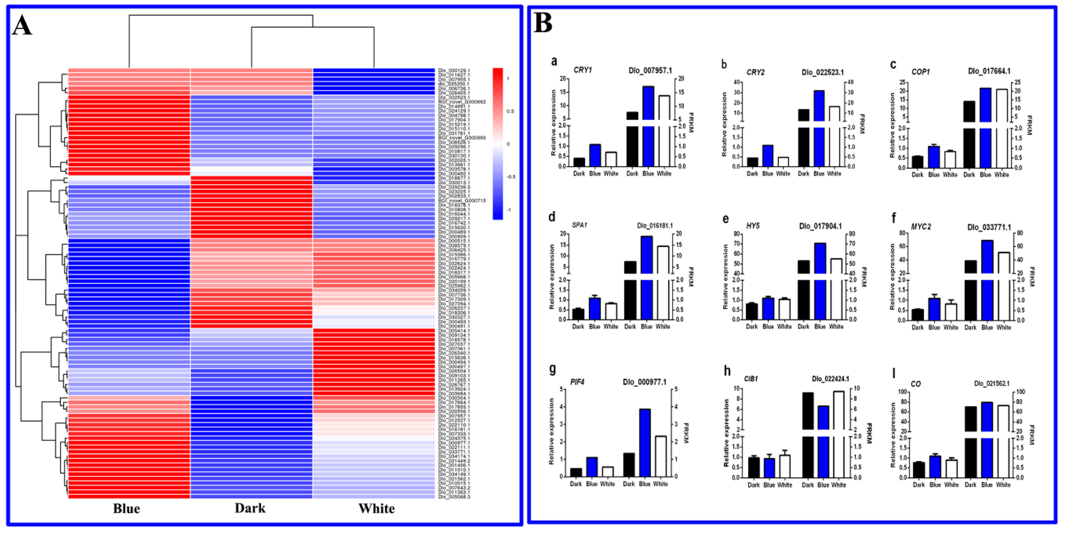 Ijms 20 00441 g008 Ijms 20 00441 g008