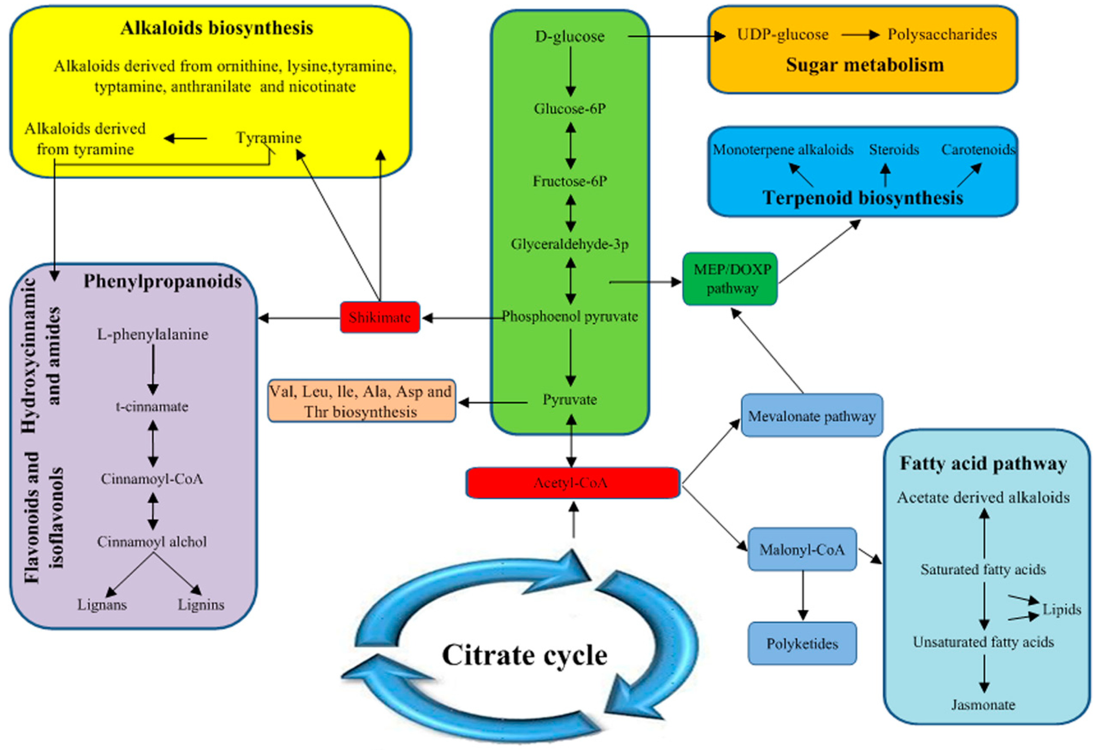 Ijms 20 00441 g009 Ijms 20 00441 g009