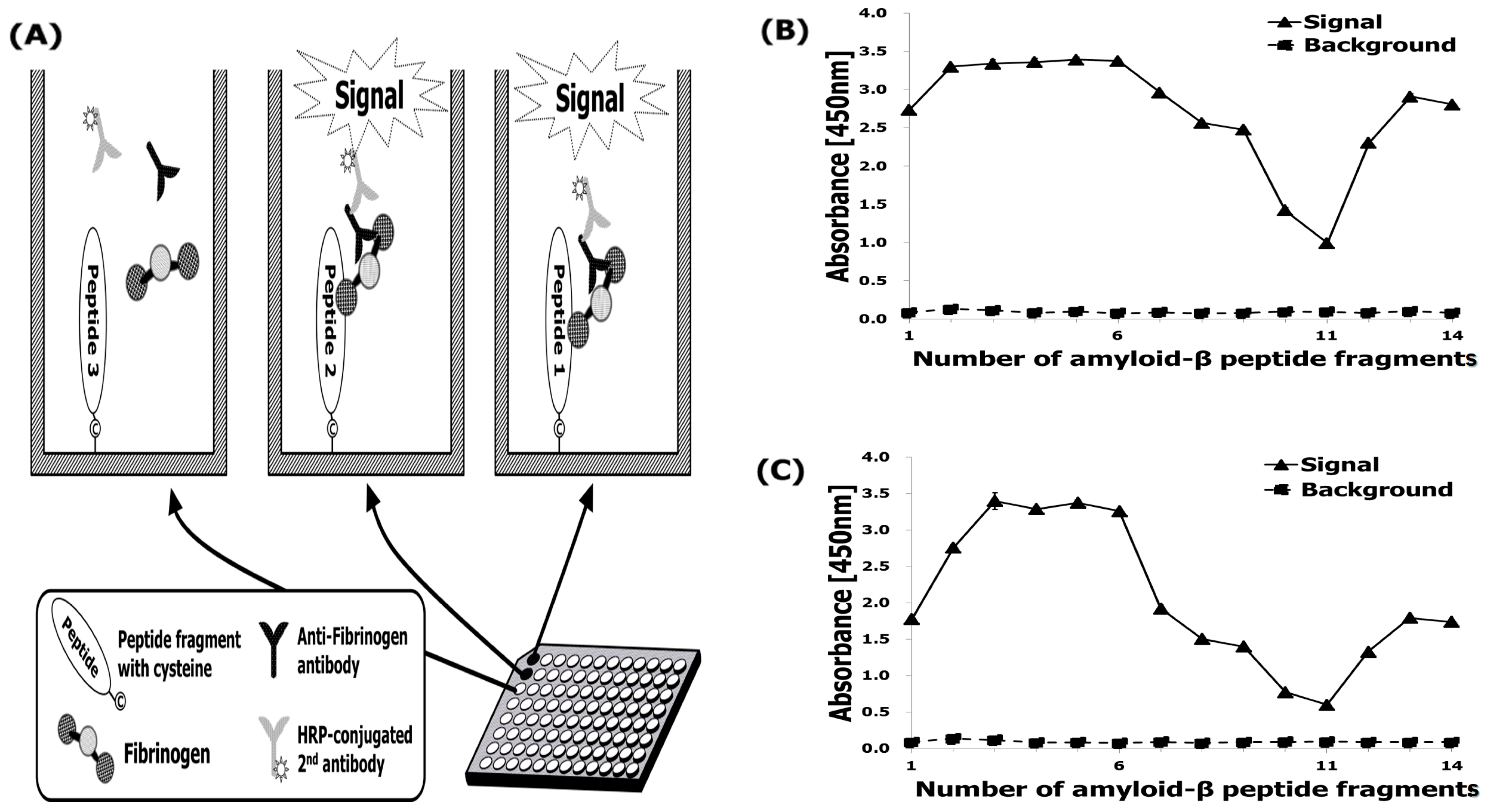 Ijms 20 00496 g004 Ijms 20 00496 g004