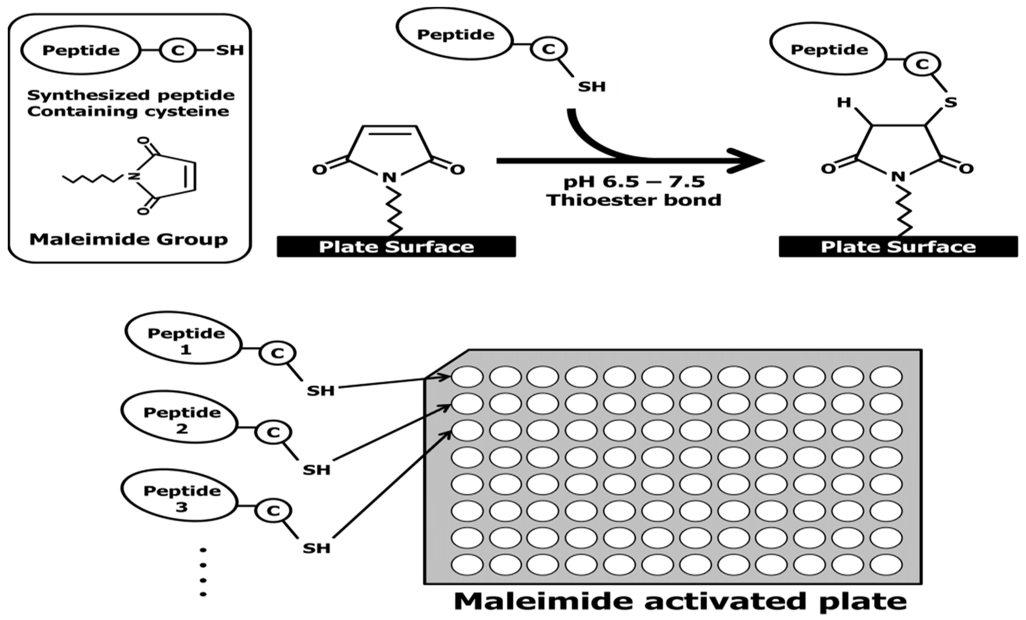 Ijms 20 00496 g006 Ijms 20 00496 g006