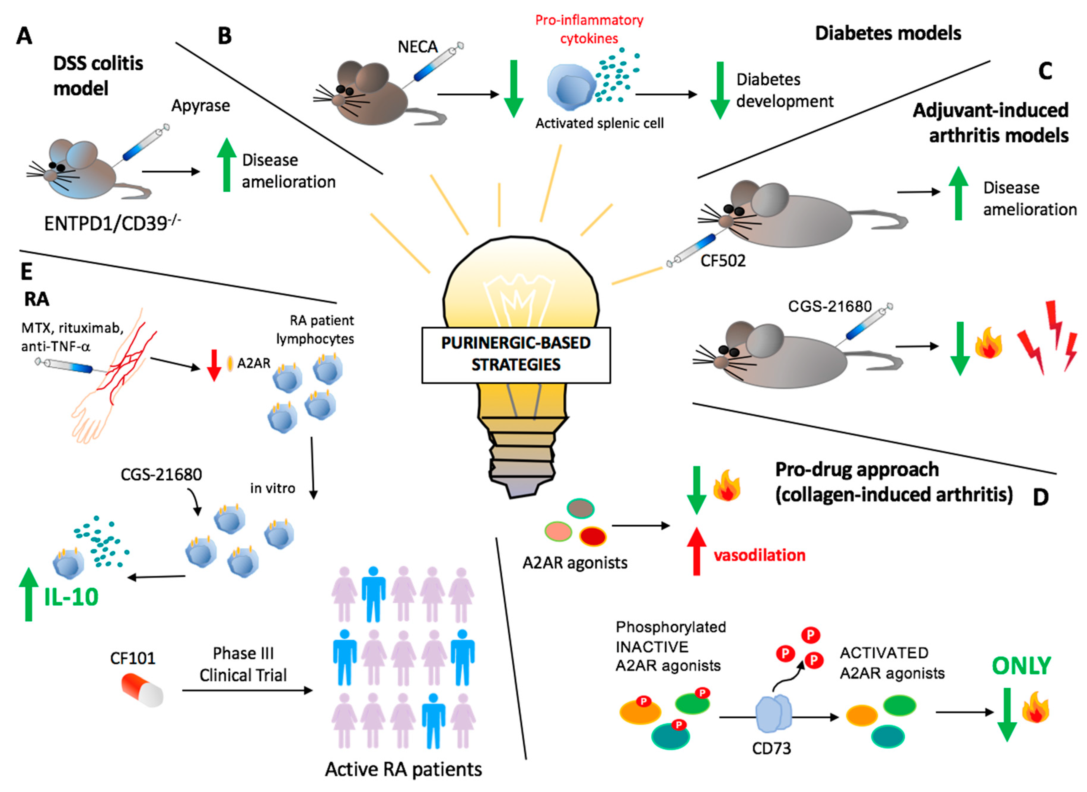 Ijms 20 00528 g002 Ijms 20 00528 g002