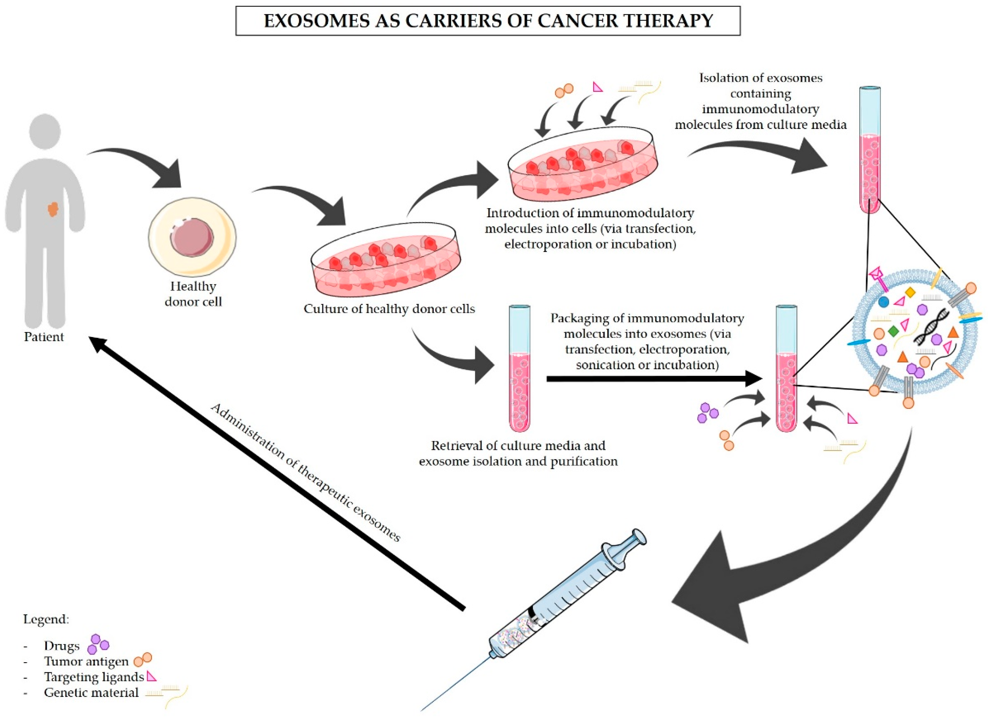 Immunotherapy for pancreatic cancer treatment