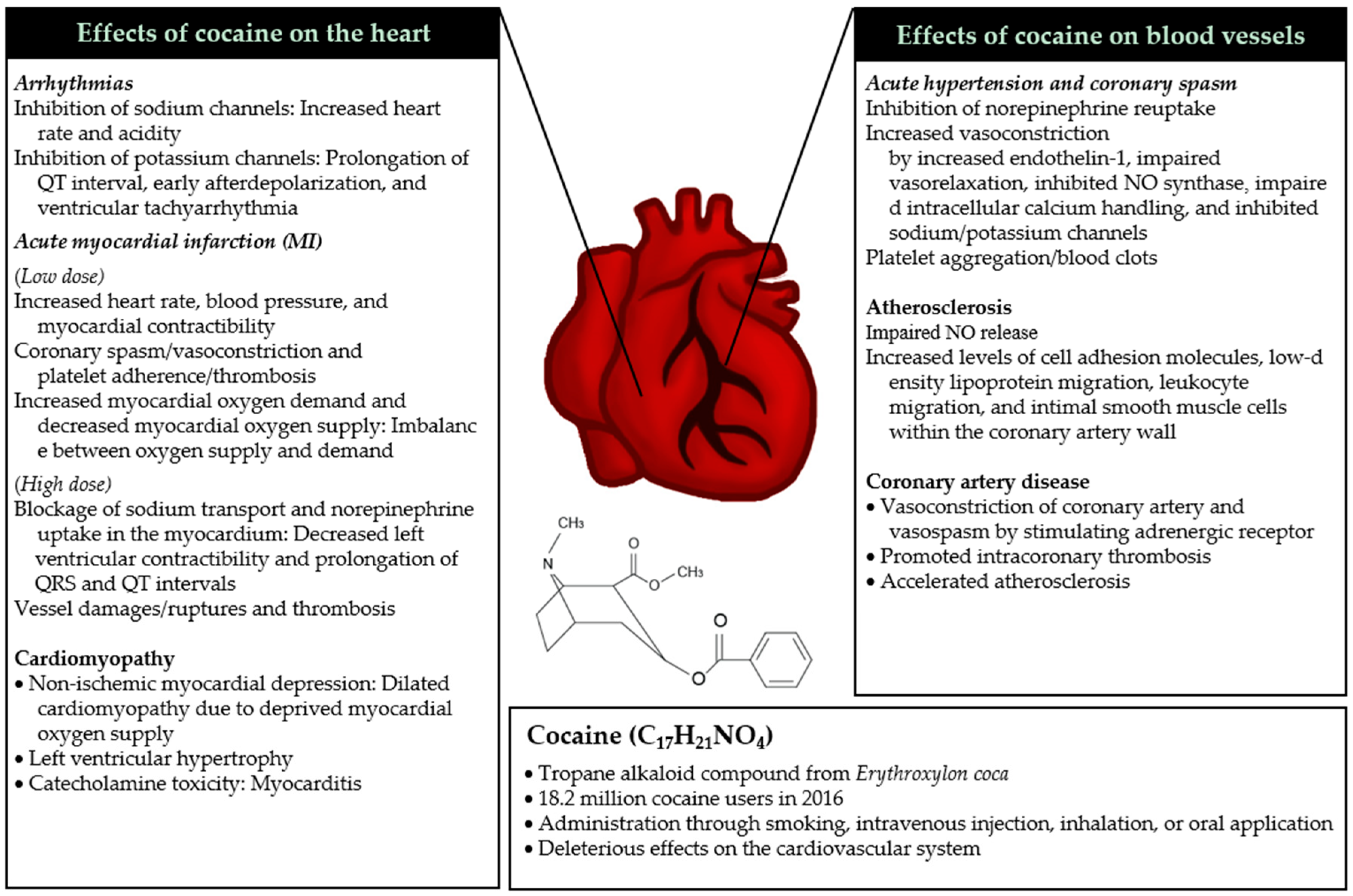 IJMS | Free Full-Text | Acute and Chronic Effects of Cocaine on  Cardiovascular Health