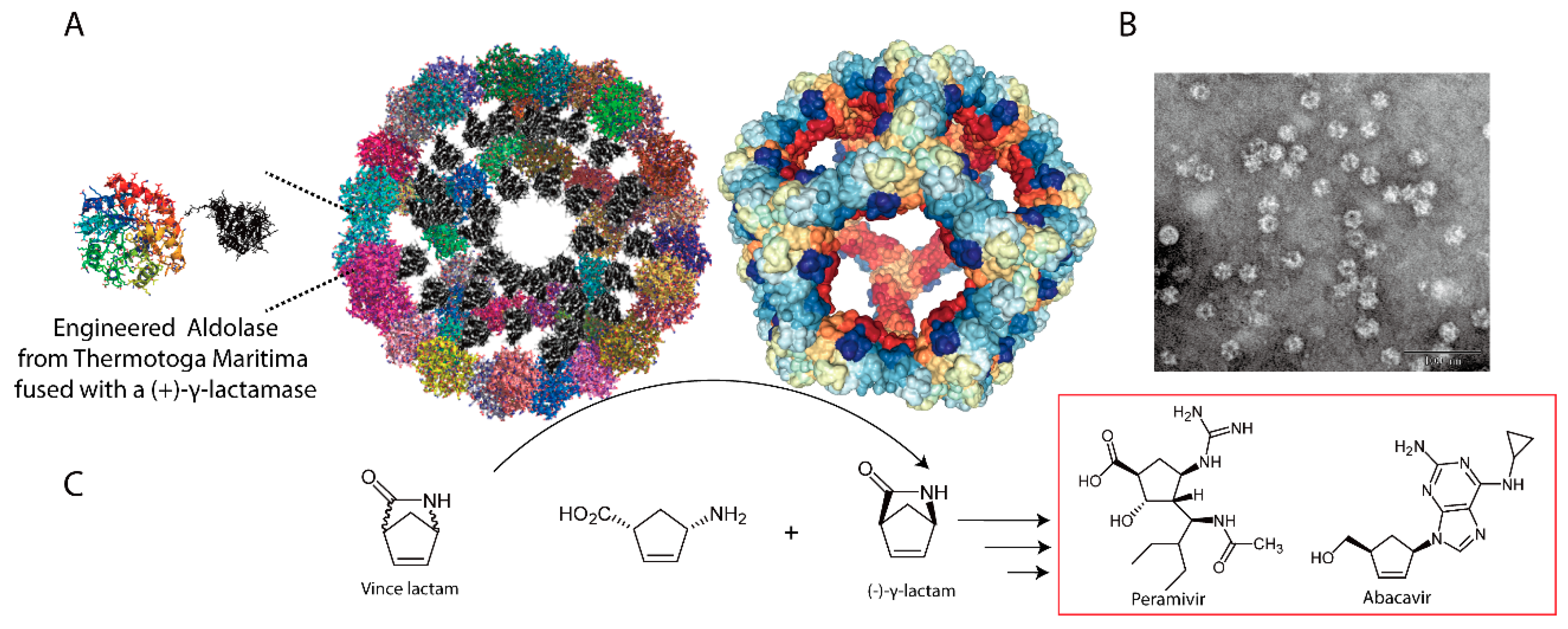 IJMS | Free Full-Text | Nanoreactor Design Based On Self-Assembling ...