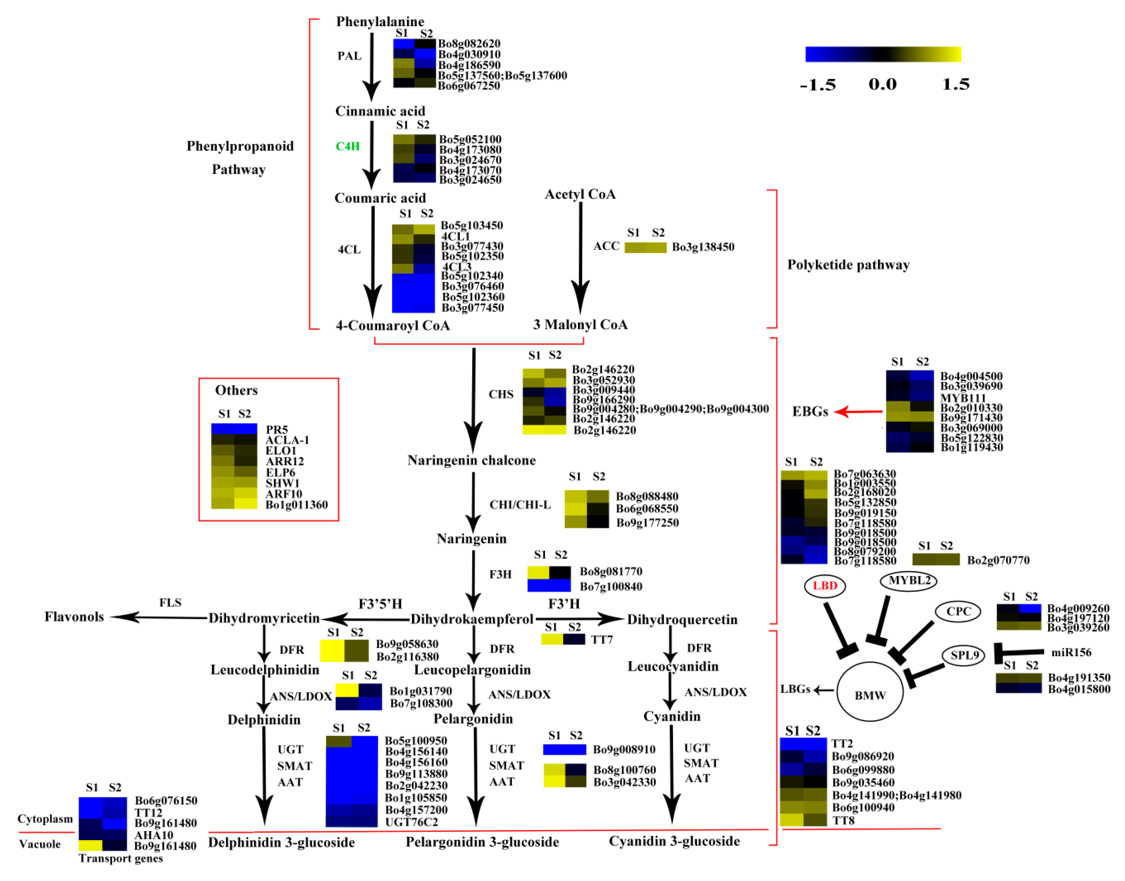 Ijms 20 00603 g008 Ijms 20 00603 g008