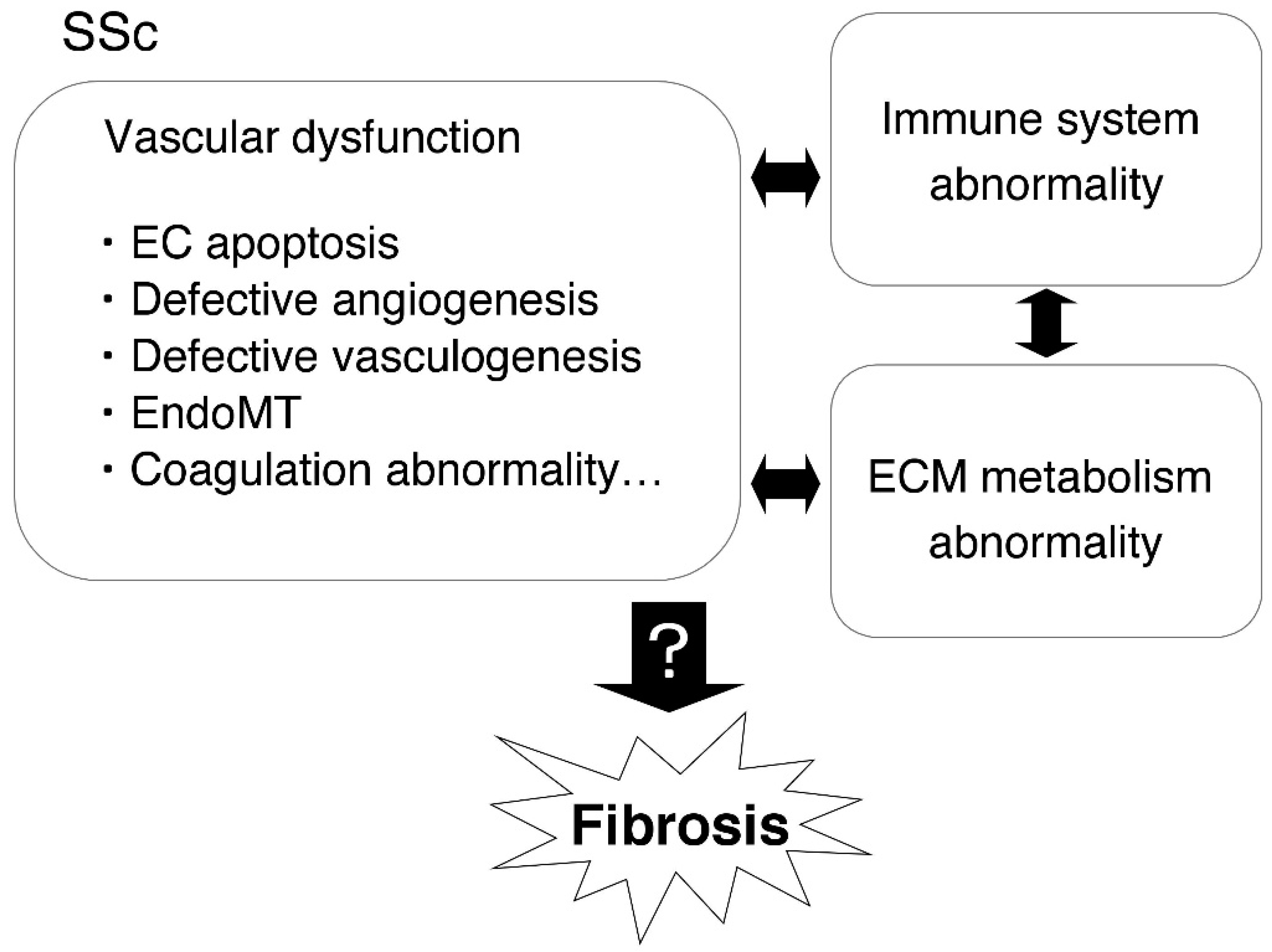 Ijms 20 00619 g001 Ijms 20 00619 g001