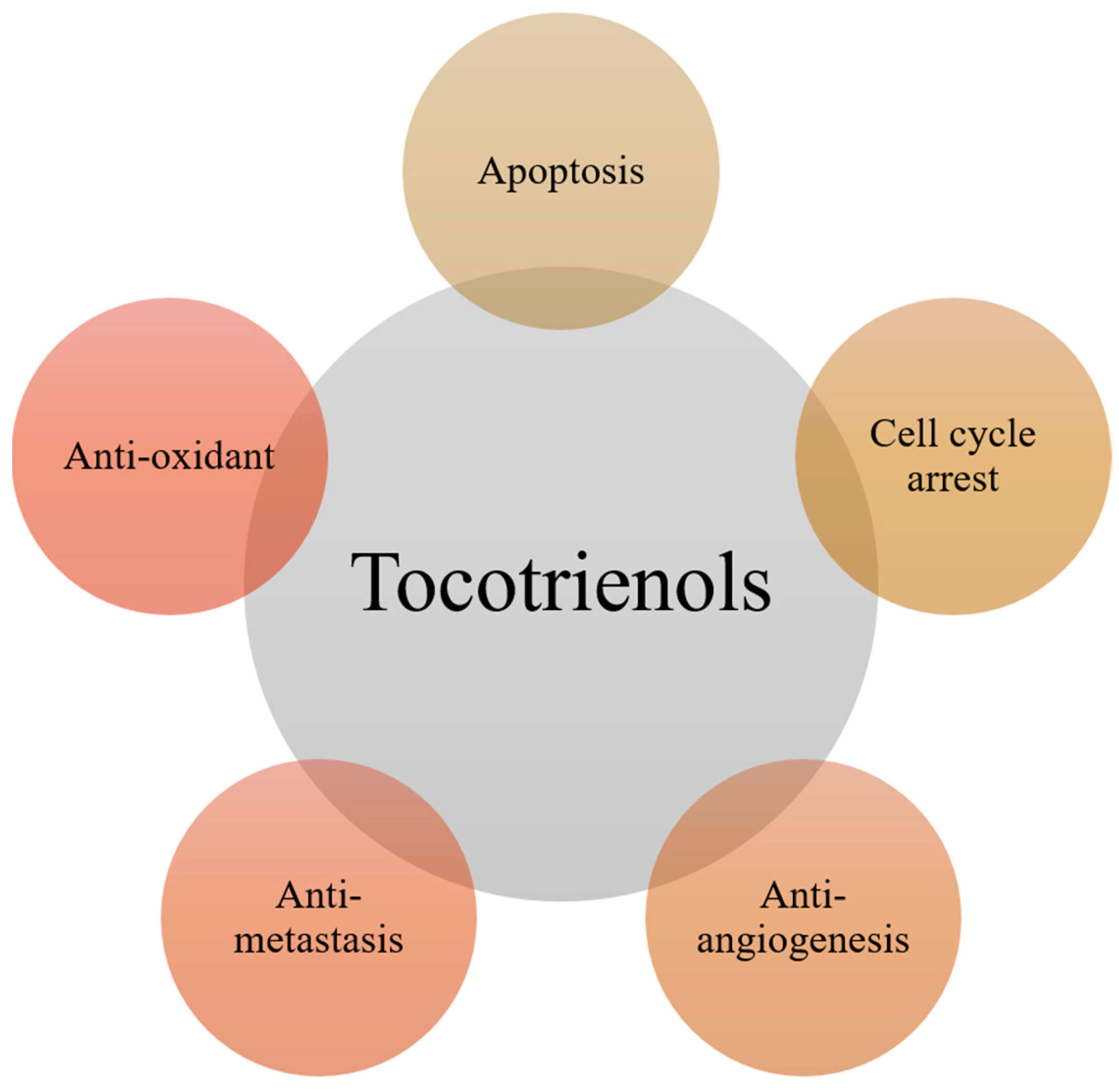 ijms free full text molecular mechanisms of action of tocotrienols in cancer recent trends and advancements html