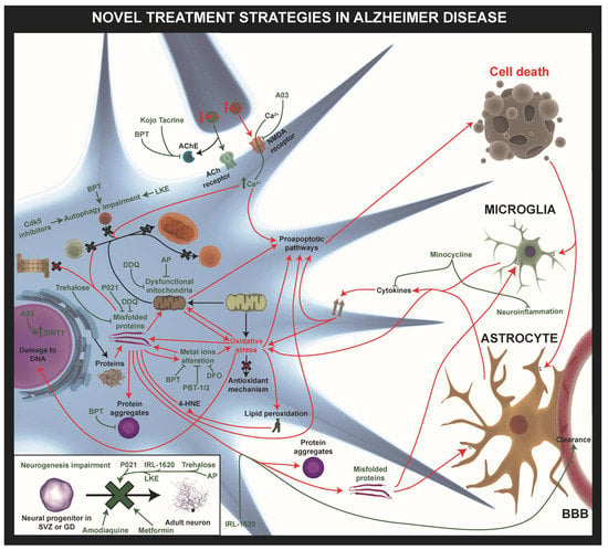 IJMS | Free Full-Text | Novel Approaches For The Treatment Of Alzheimer ...