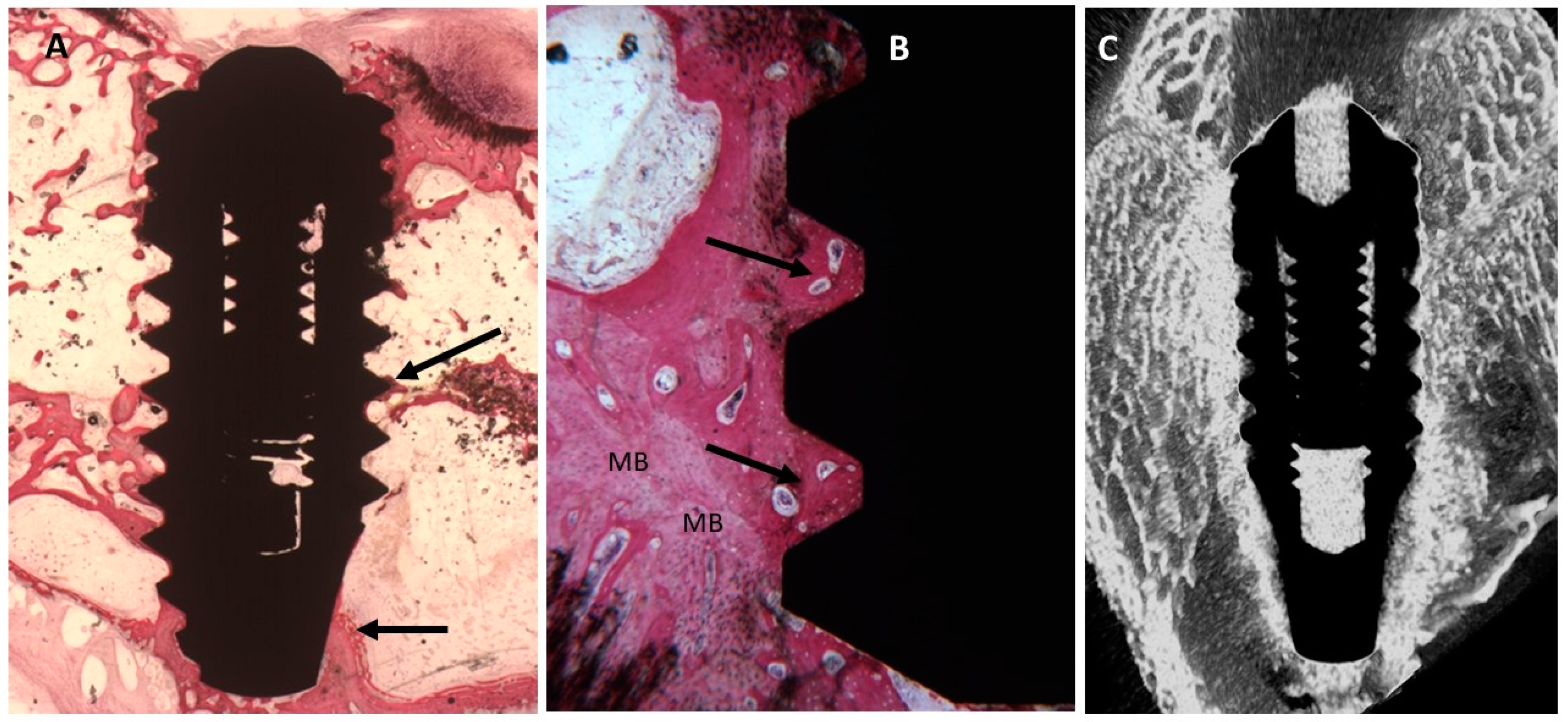 Ijms 20 00724 g008 Ijms 20 00724 g008