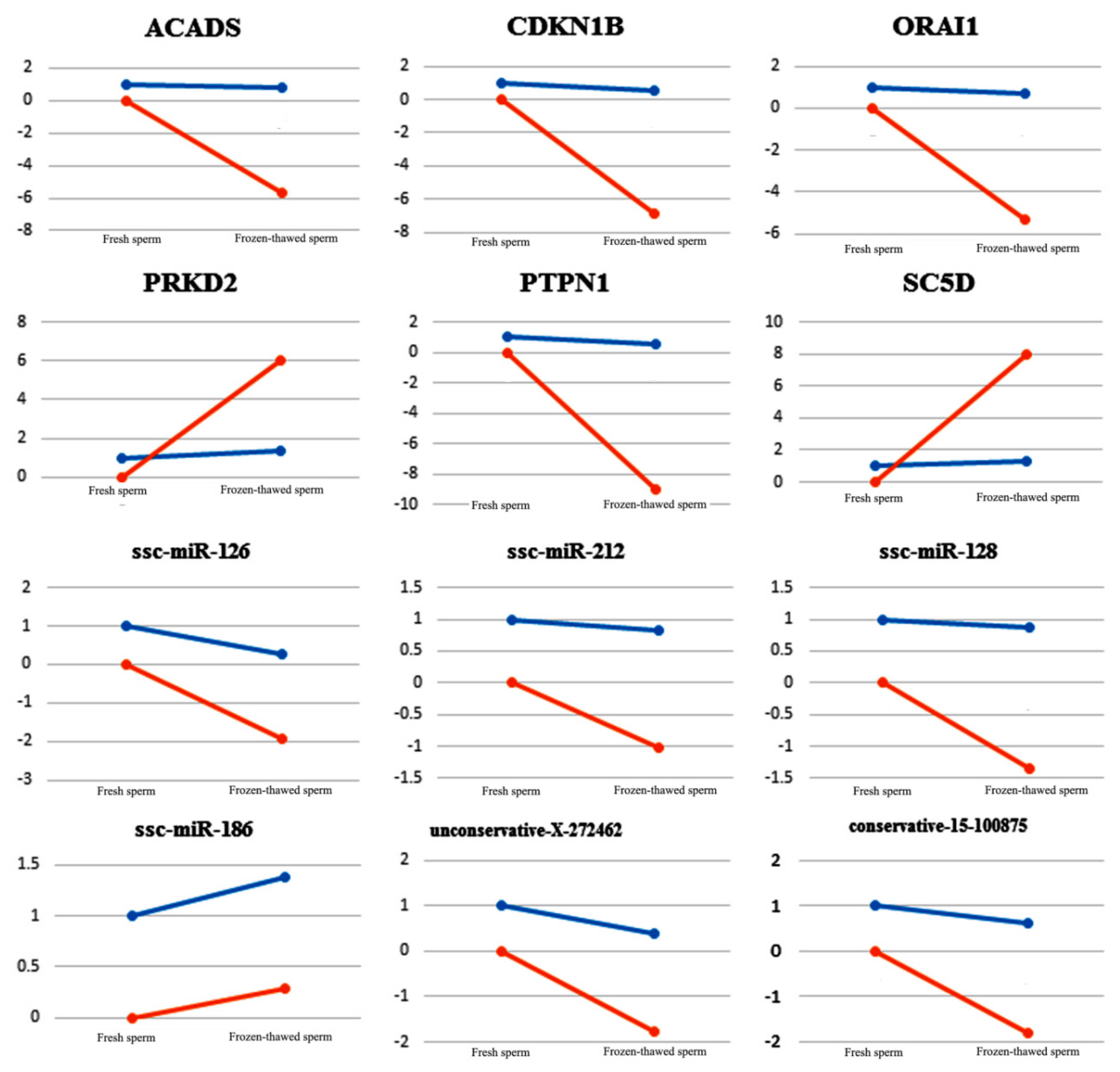 Ijms 20 00802 g005 Ijms 20 00802 g005