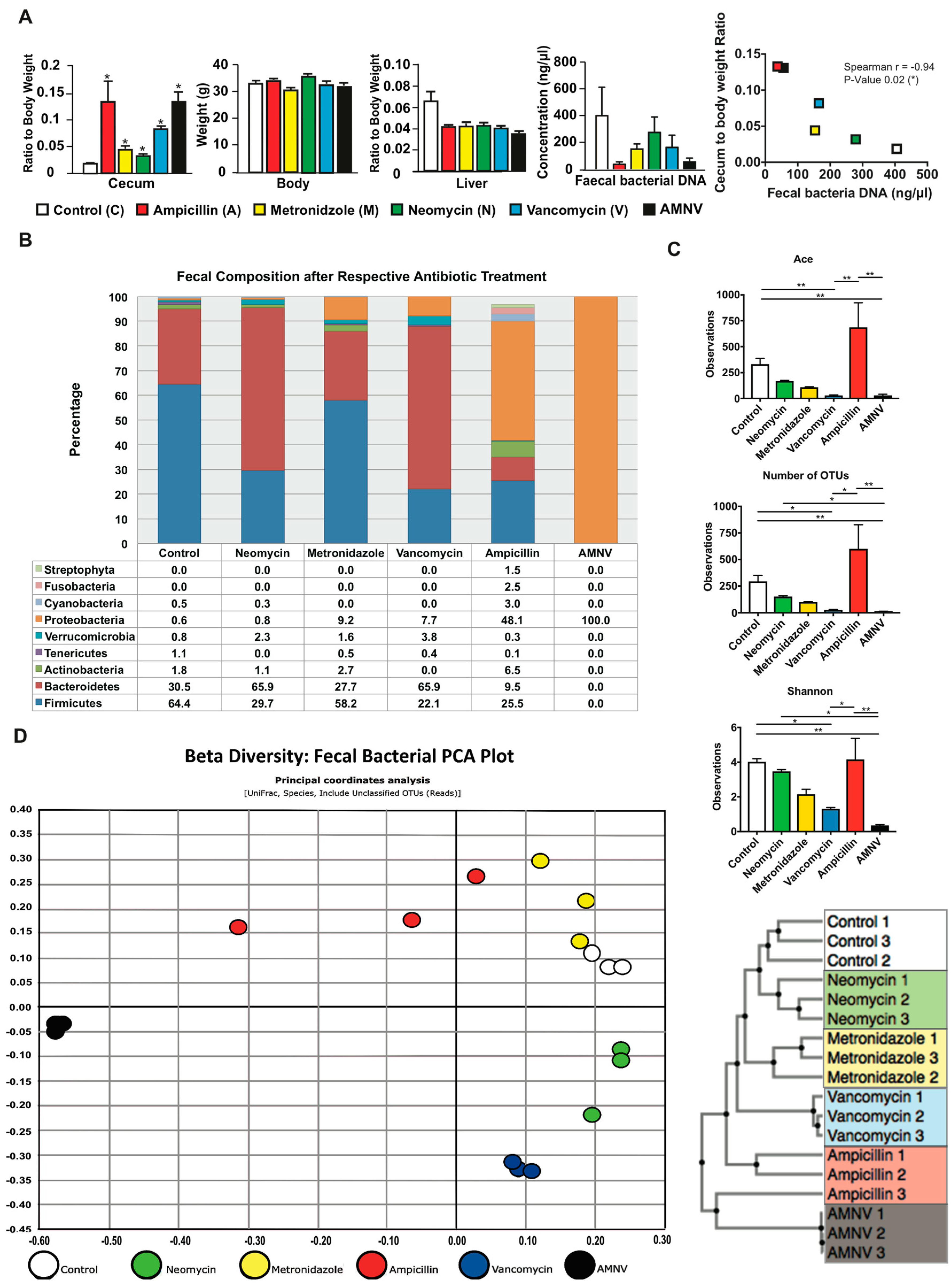 Ijms 20 00812 g001 Ijms 20 00812 g001