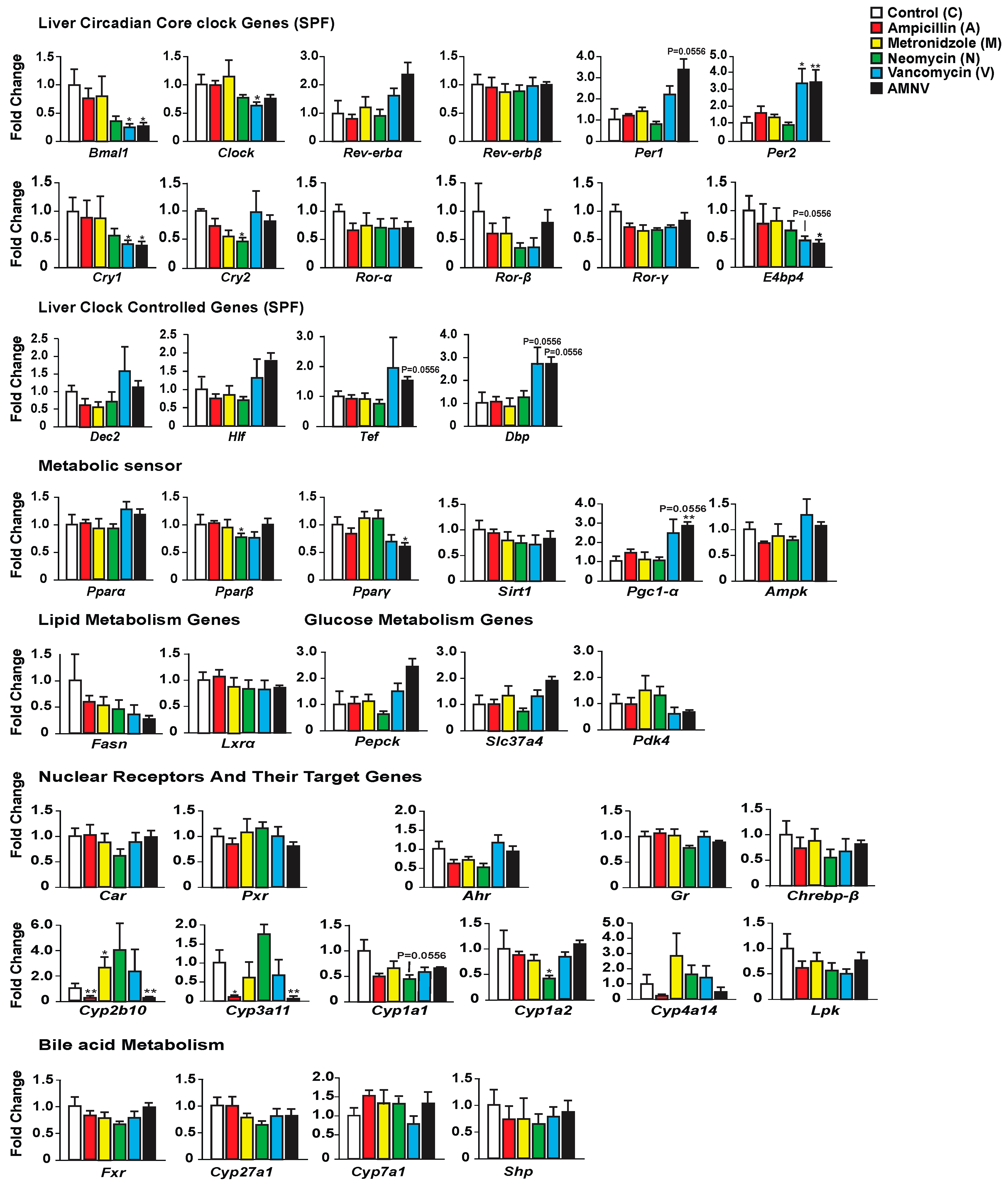 Ijms 20 00812 g002 Ijms 20 00812 g002