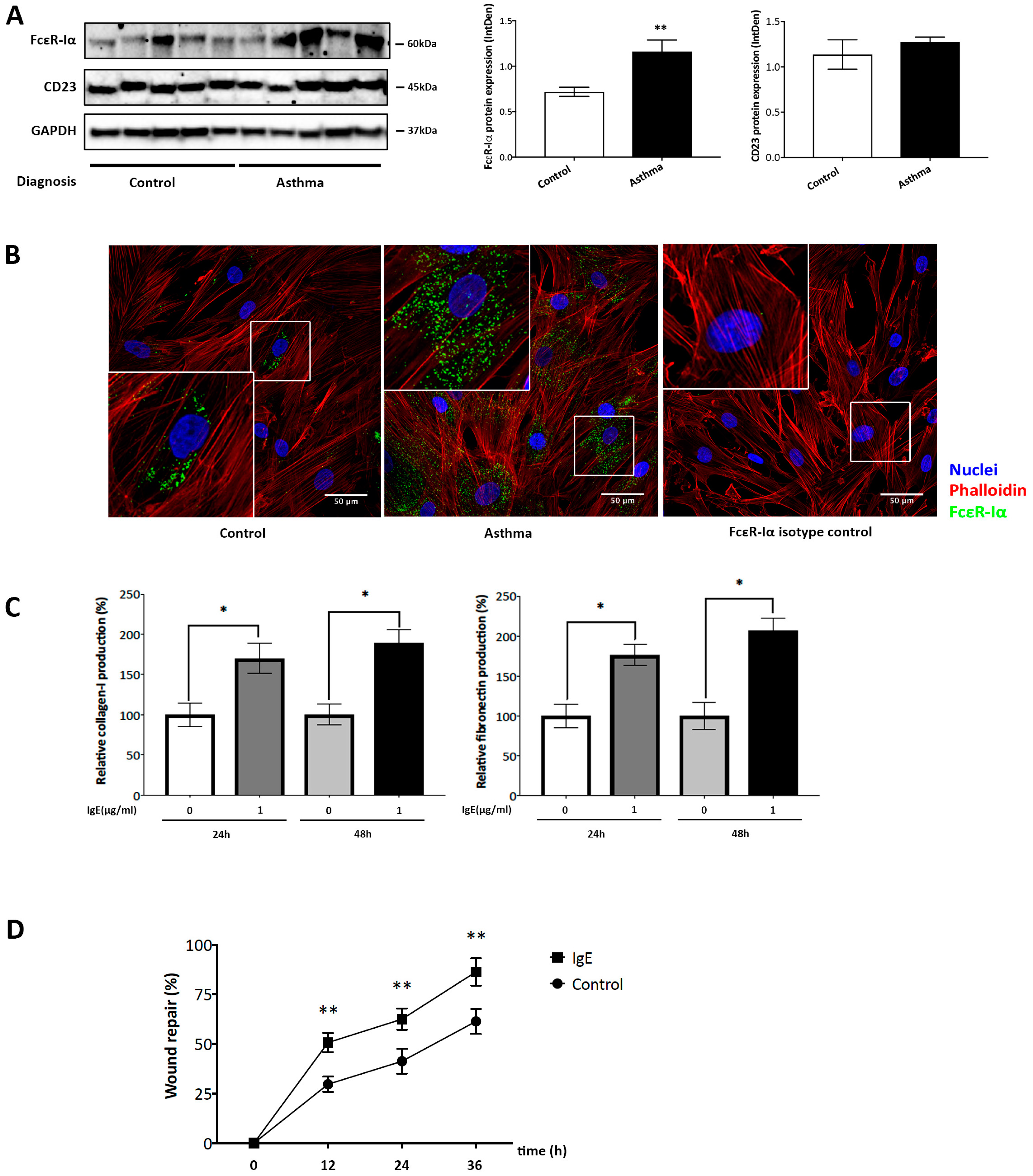 Ijms 20 00875 g002 Ijms 20 00875 g002