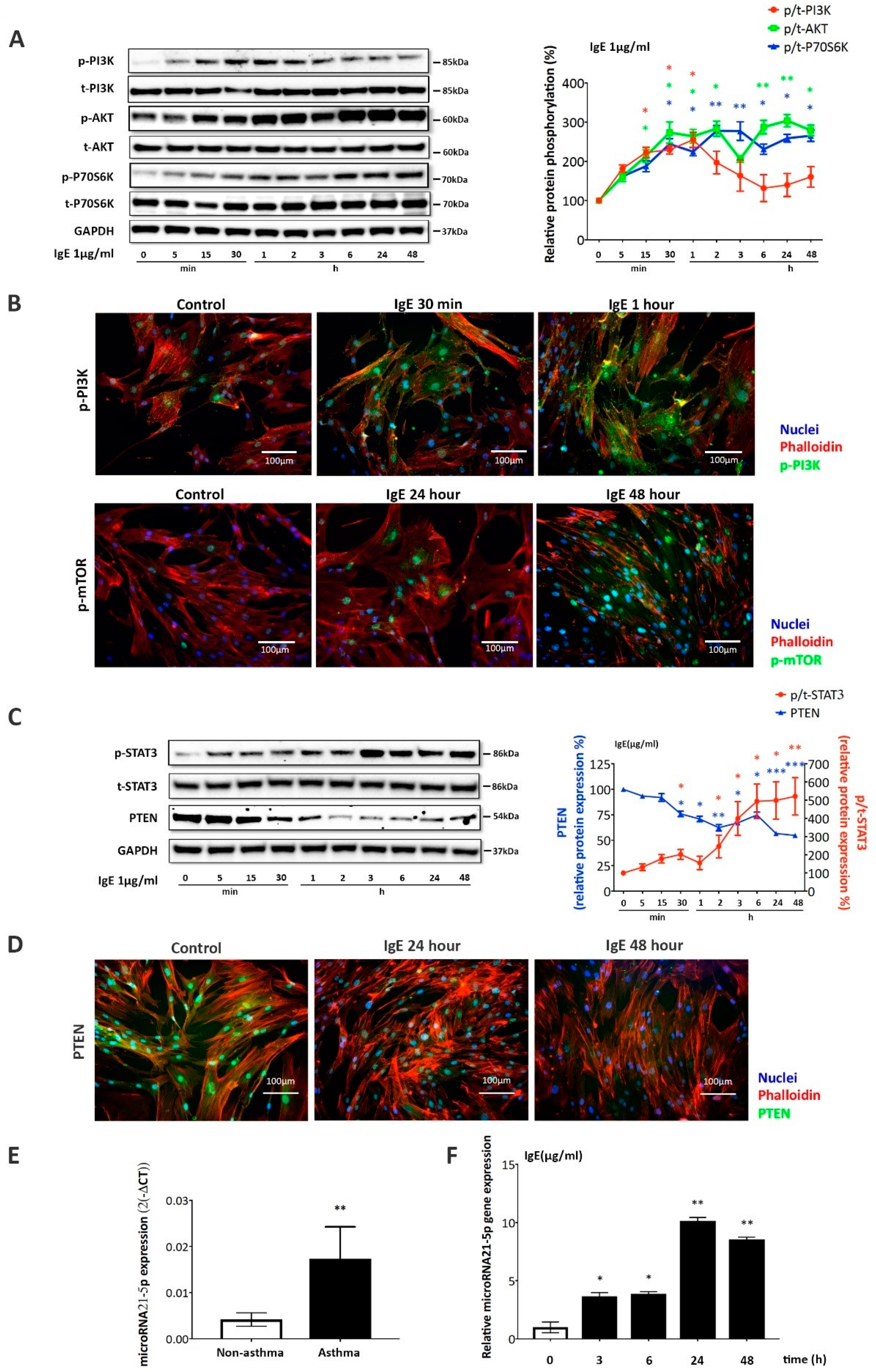 Ijms 20 00875 g004 Ijms 20 00875 g004