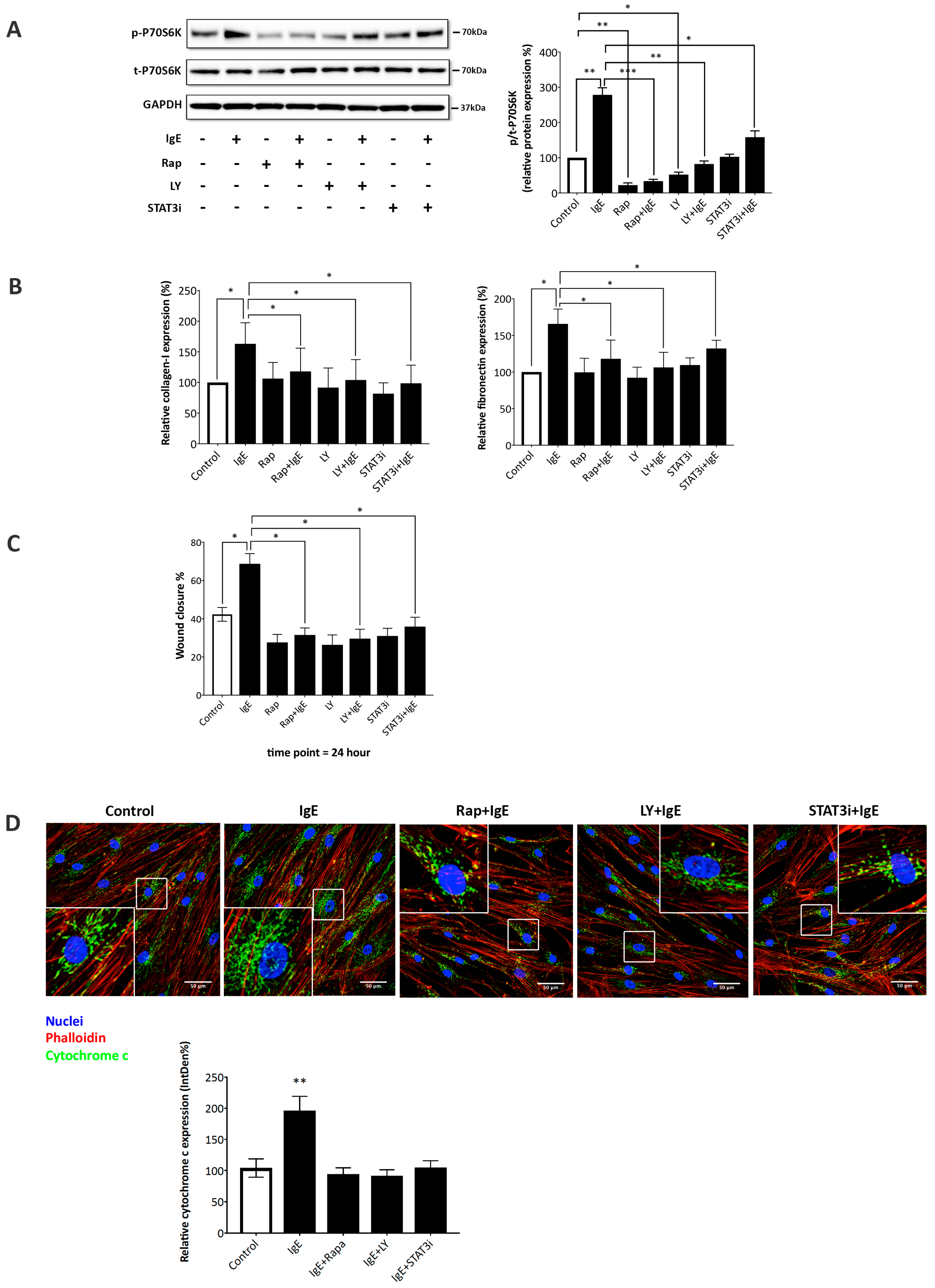 Ijms 20 00875 g005 Ijms 20 00875 g005