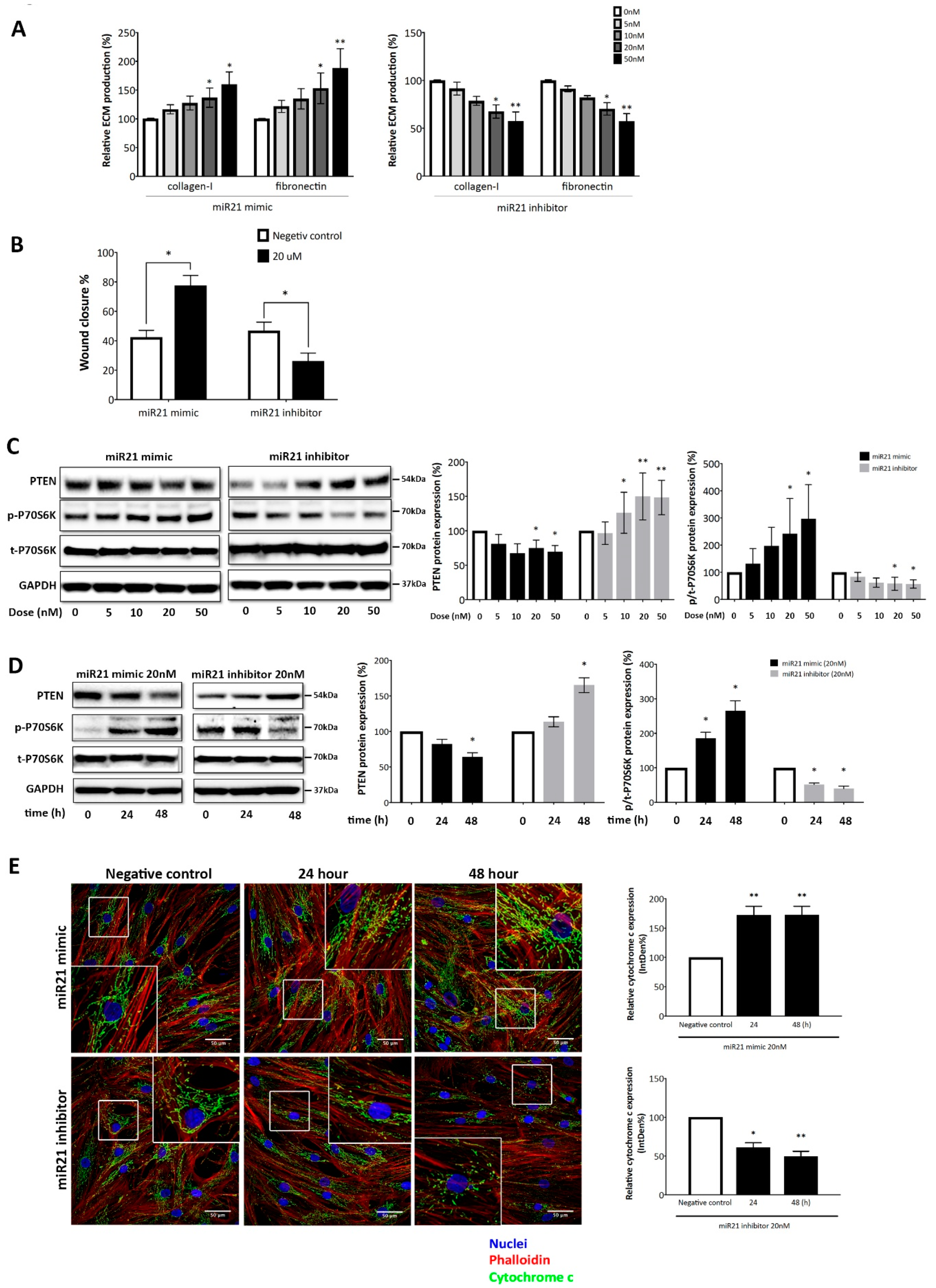 Ijms 20 00875 g006 Ijms 20 00875 g006