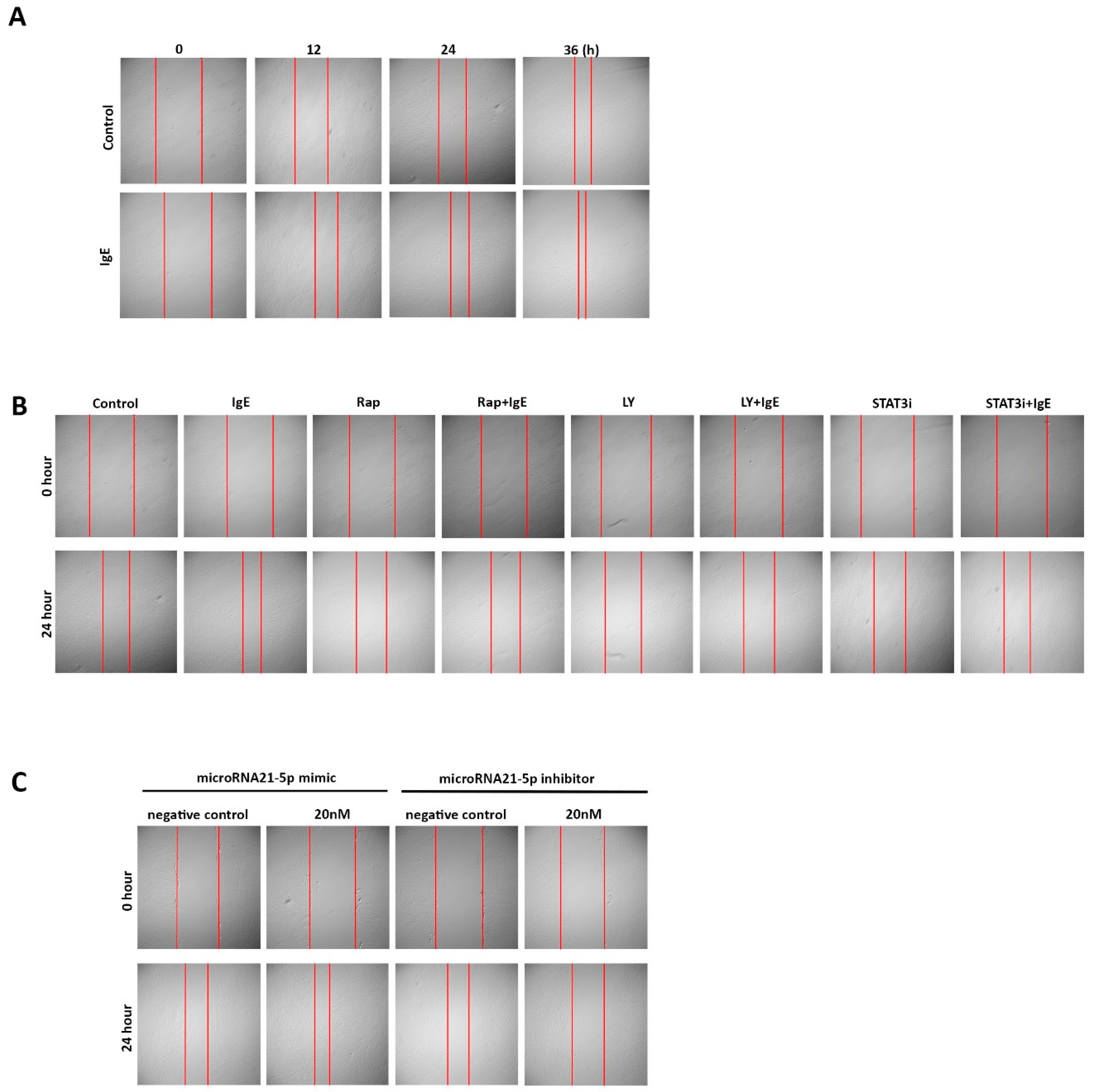 Ijms 20 00875 g0a1 Ijms 20 00875 g0a1