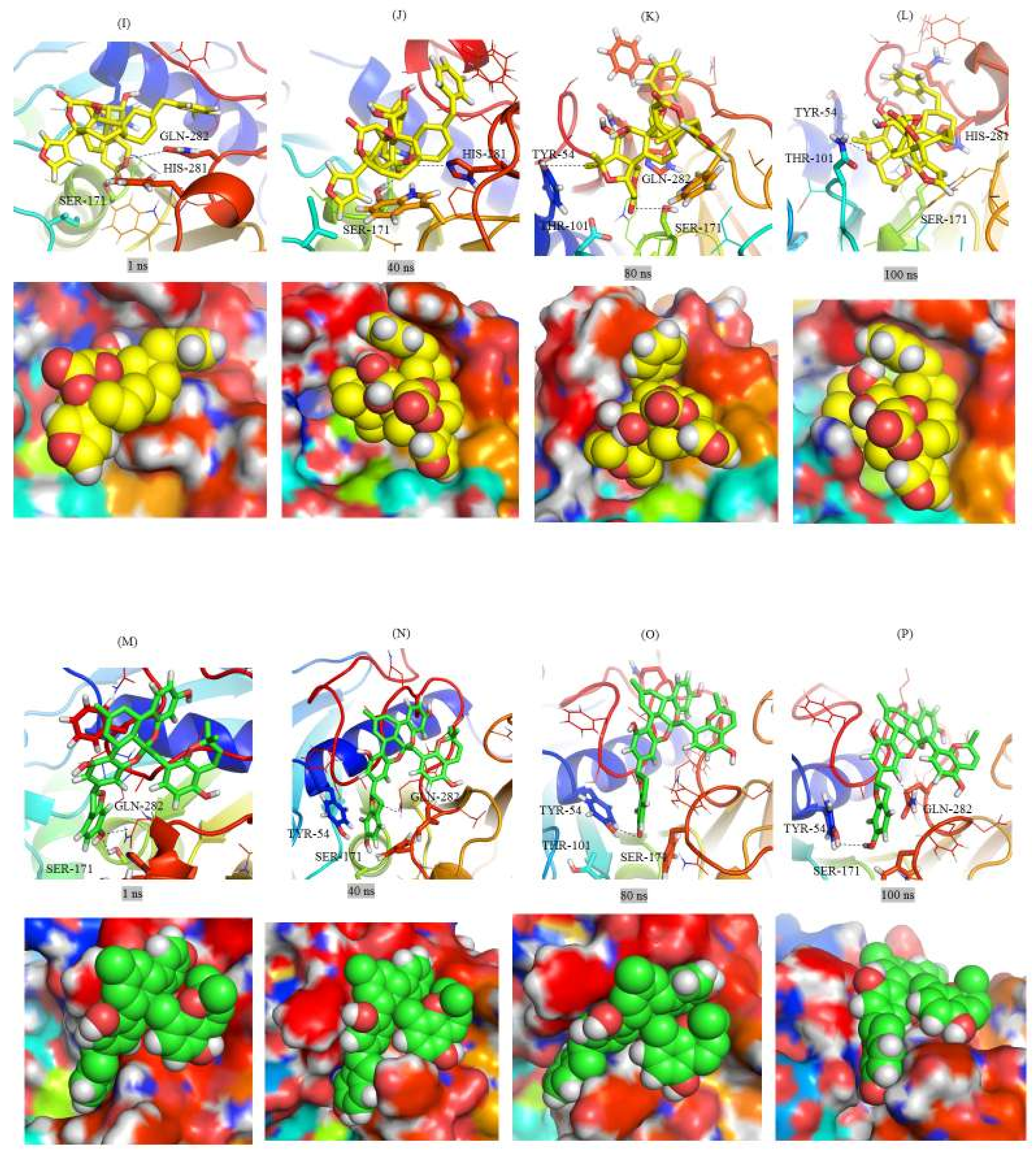 Ijms 20 00884 g005b Ijms 20 00884 g005b