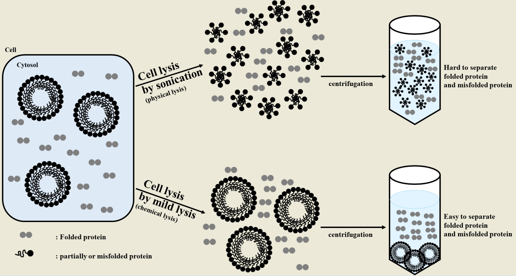 Ijms Free Full Text Functional Characterization Of Pmdxr A