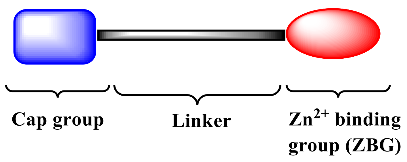 Ijms 20 00945 g001