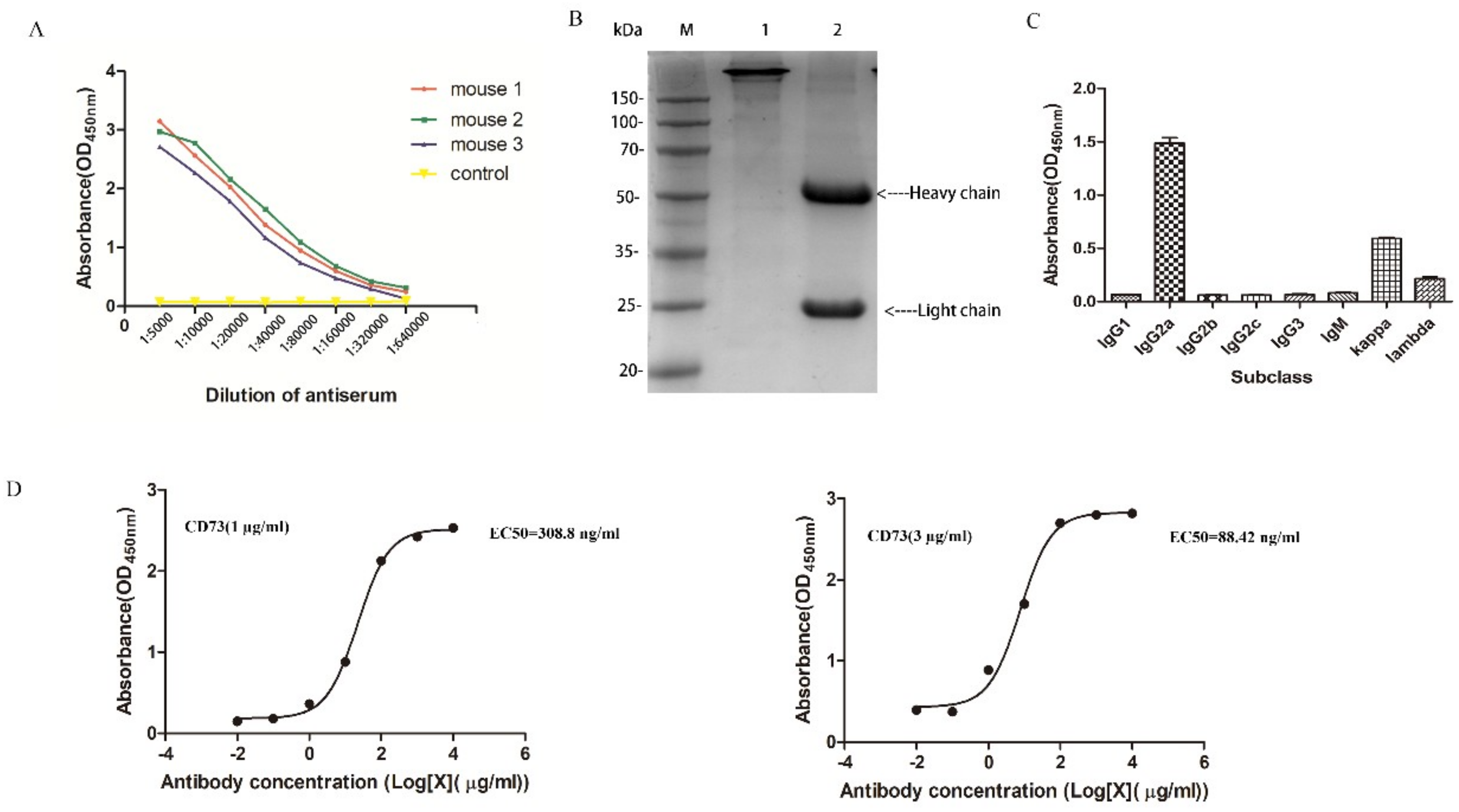 IJMS | Free Full-Text | A Novel Specific Anti-CD73 Antibody Inhibits ...