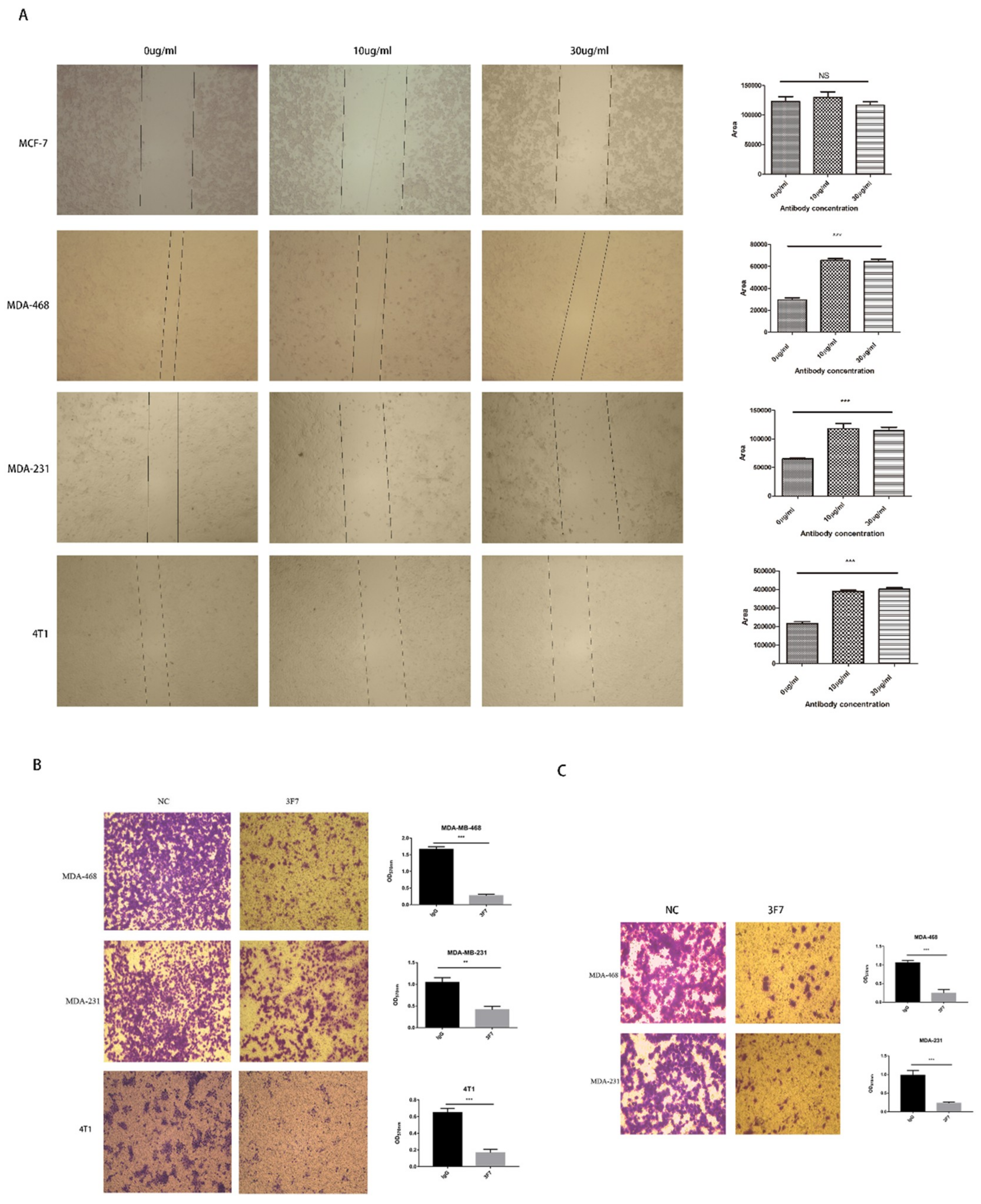 Ijms 20 01057 g006 Ijms 20 01057 g006