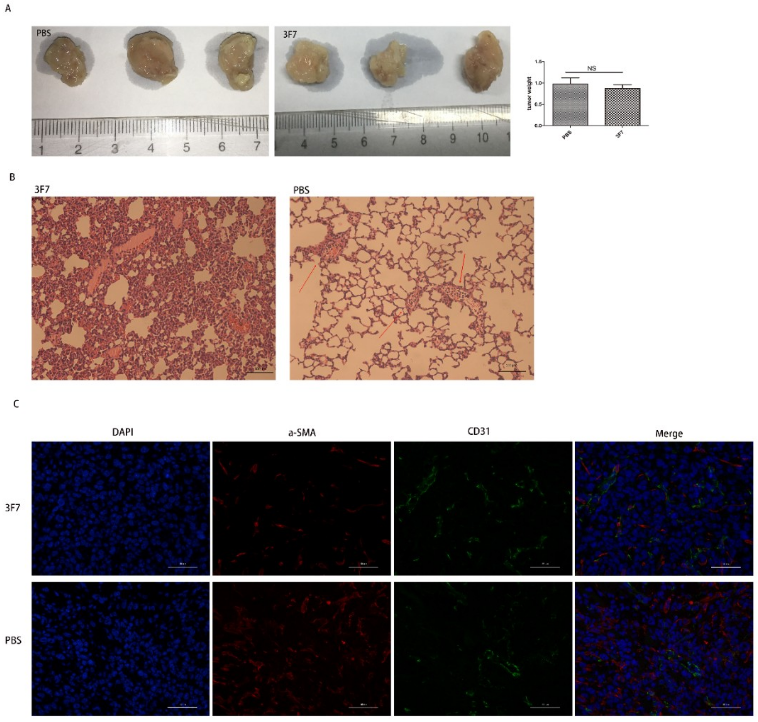 Ijms 20 01057 g007 Ijms 20 01057 g007