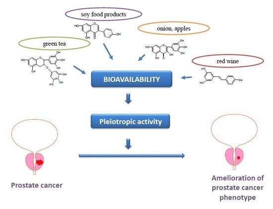 IJMS | Free Full-Text | Molecular Mechanisms and Bioavailability of  Polyphenols in Prostate Cancer | HTML
