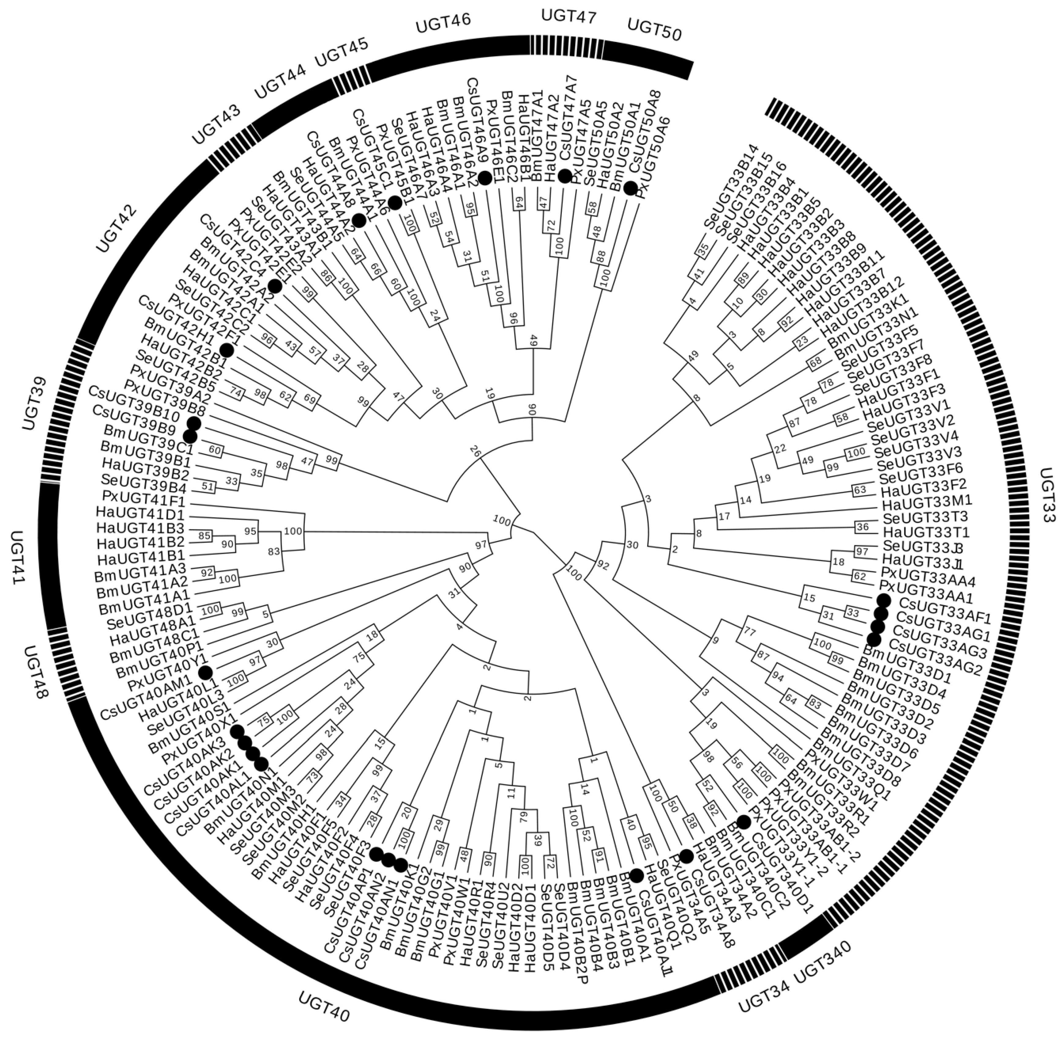 Ijms Free Full Text Udp Glycosyltransferase Genes In The Striped Rice Stem Borer Chilo Suppressalis Walker And Their Contribution To Chlorantraniliprole Resistance Html