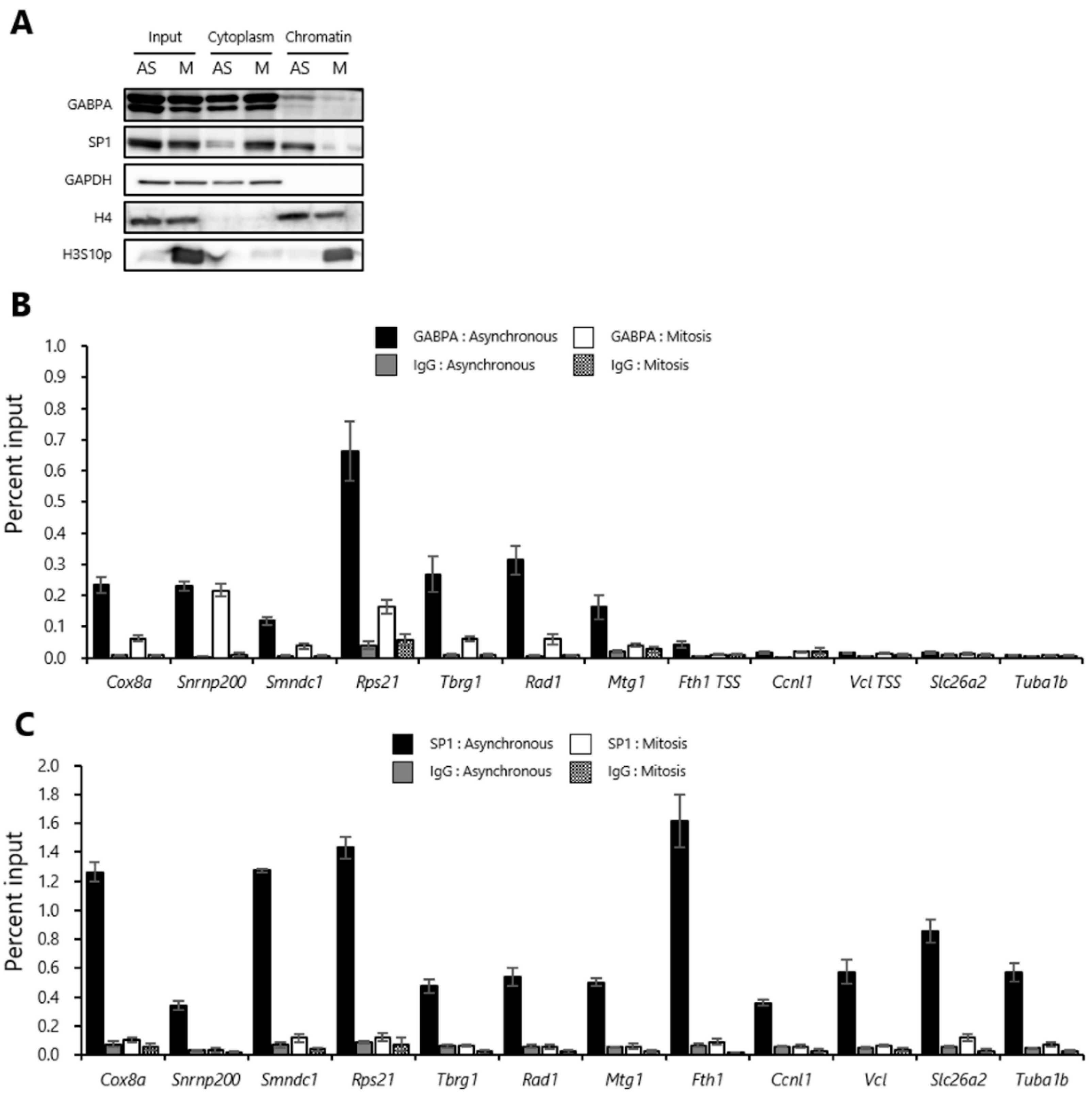 Ijms 20 01093 g001 Ijms 20 01093 g001