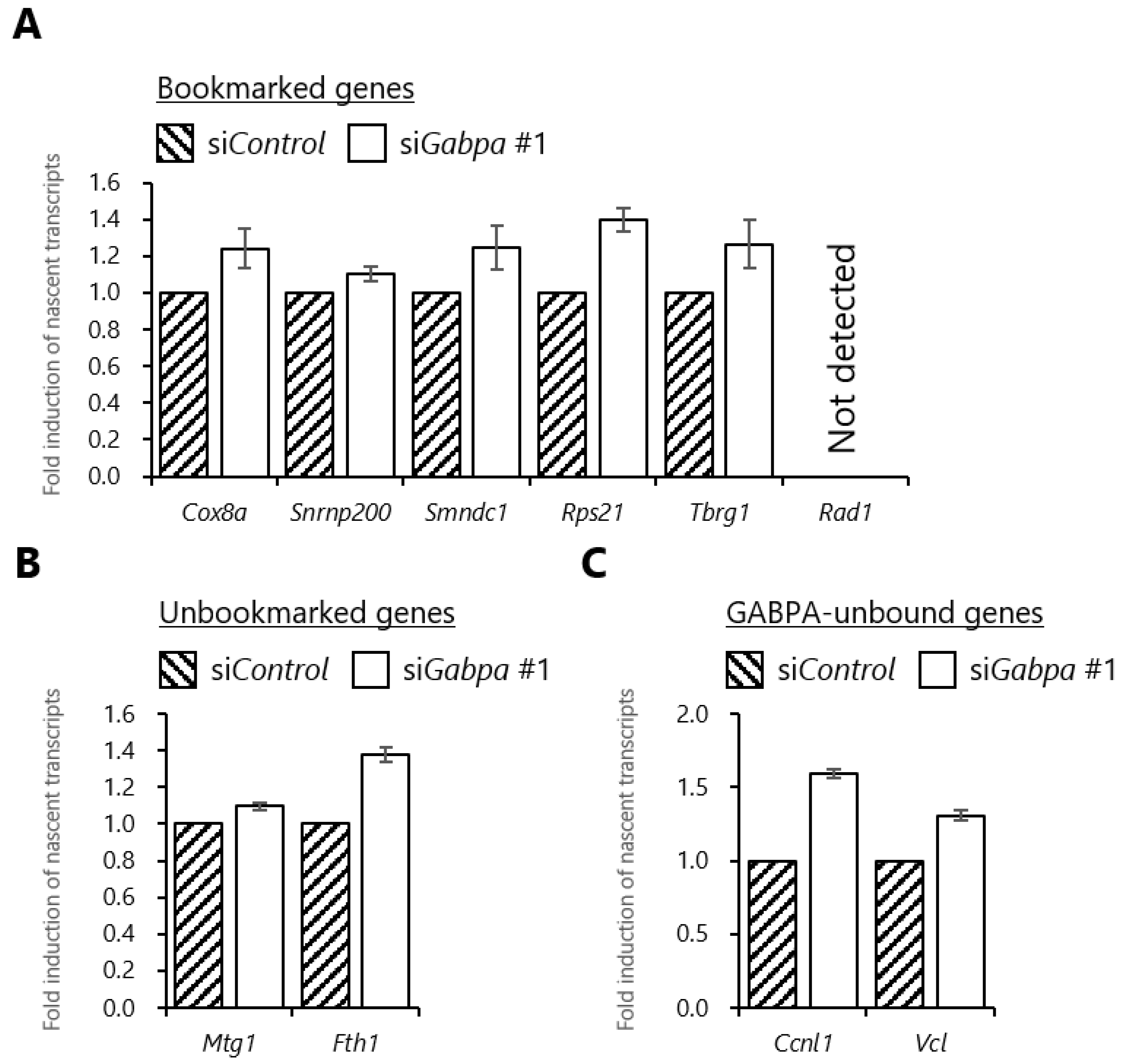 Ijms 20 01093 g005 Ijms 20 01093 g005