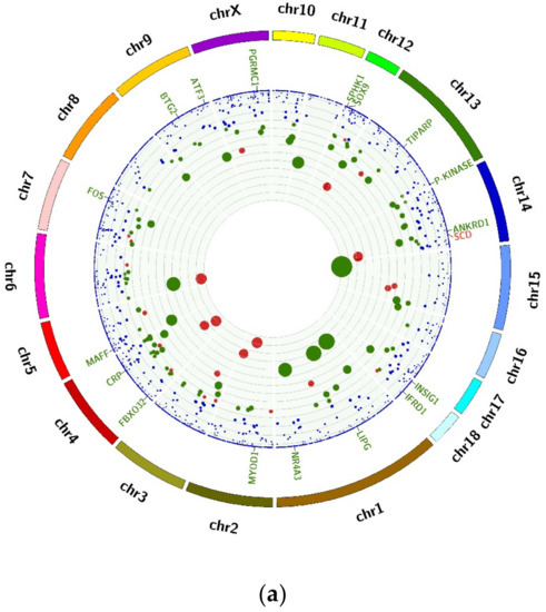 IJMS | Free Full-Text | Comprehensive Analysis of Differentially ...