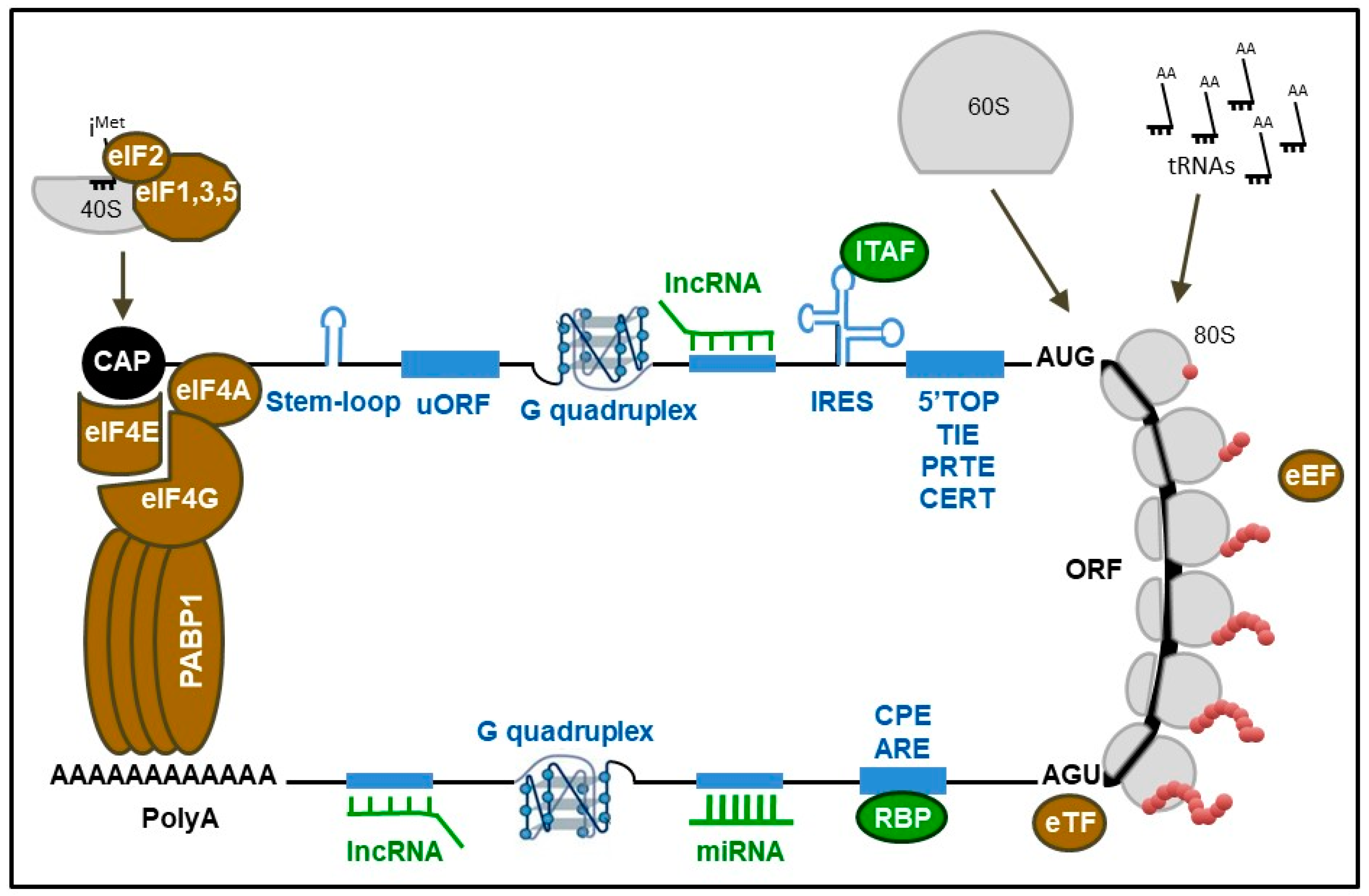 translational-histone-modification-protein-ppt-vrogue