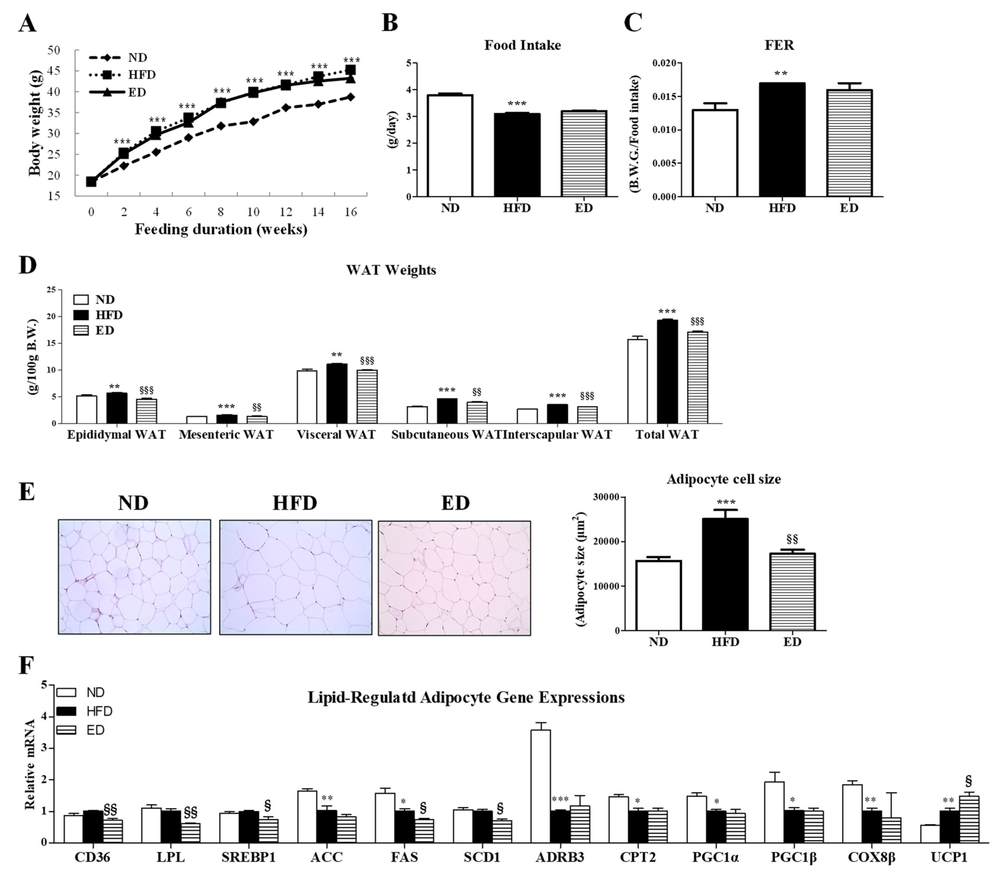 Ijms 20 01227 g001 Ijms 20 01227 g001