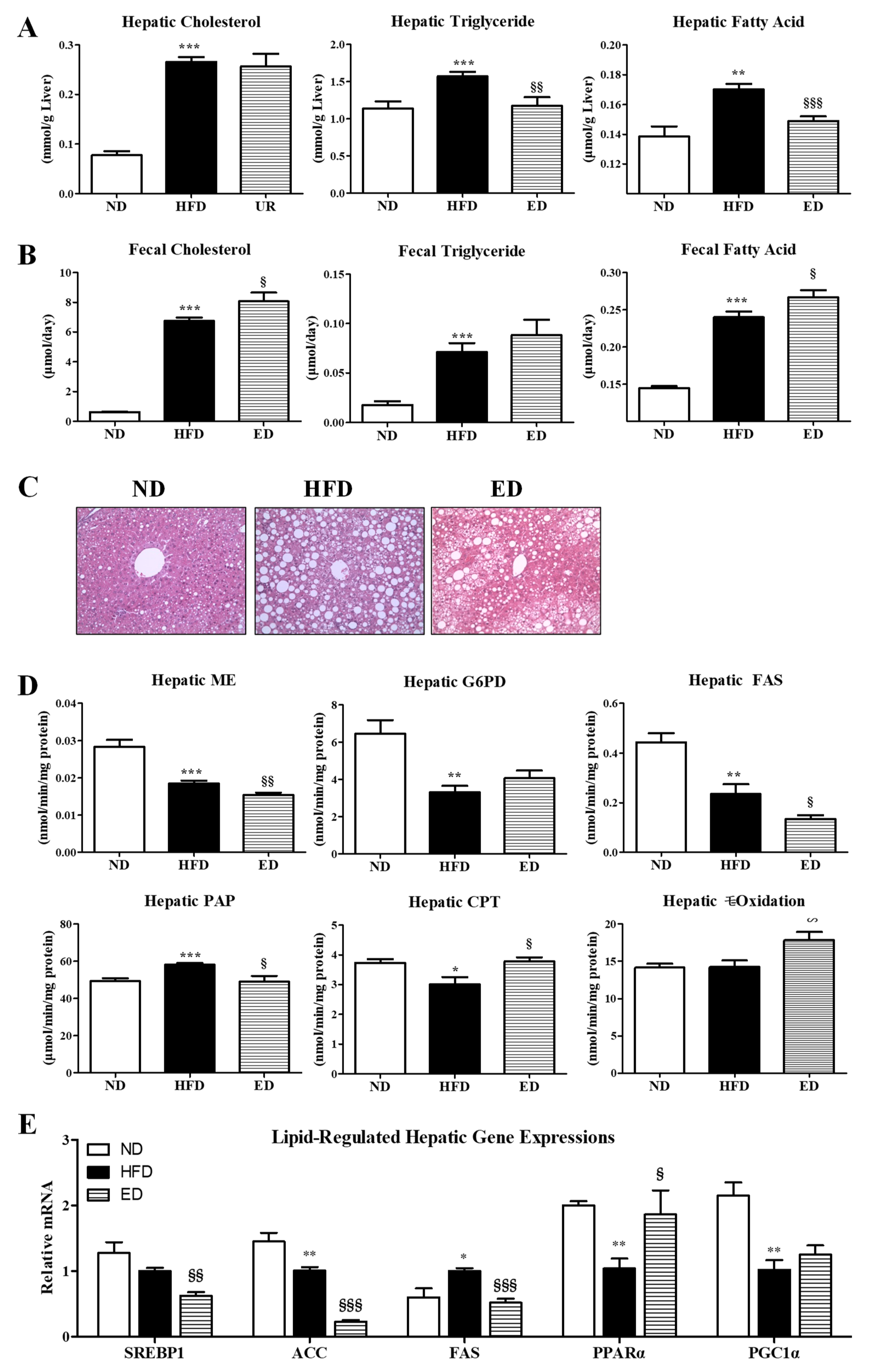 Ijms 20 01227 g003 Ijms 20 01227 g003