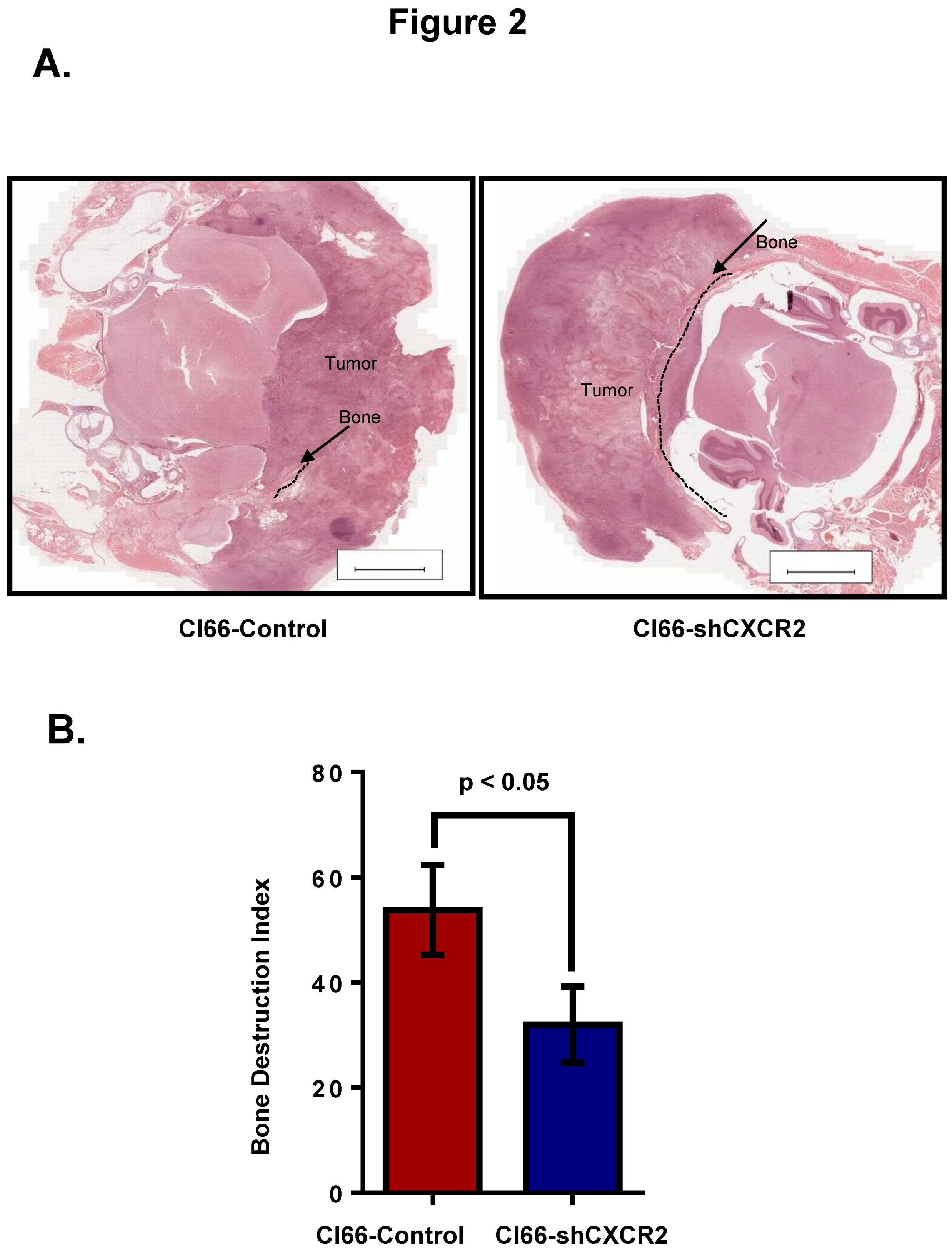 Ijms 20 01237 g002 Ijms 20 01237 g002