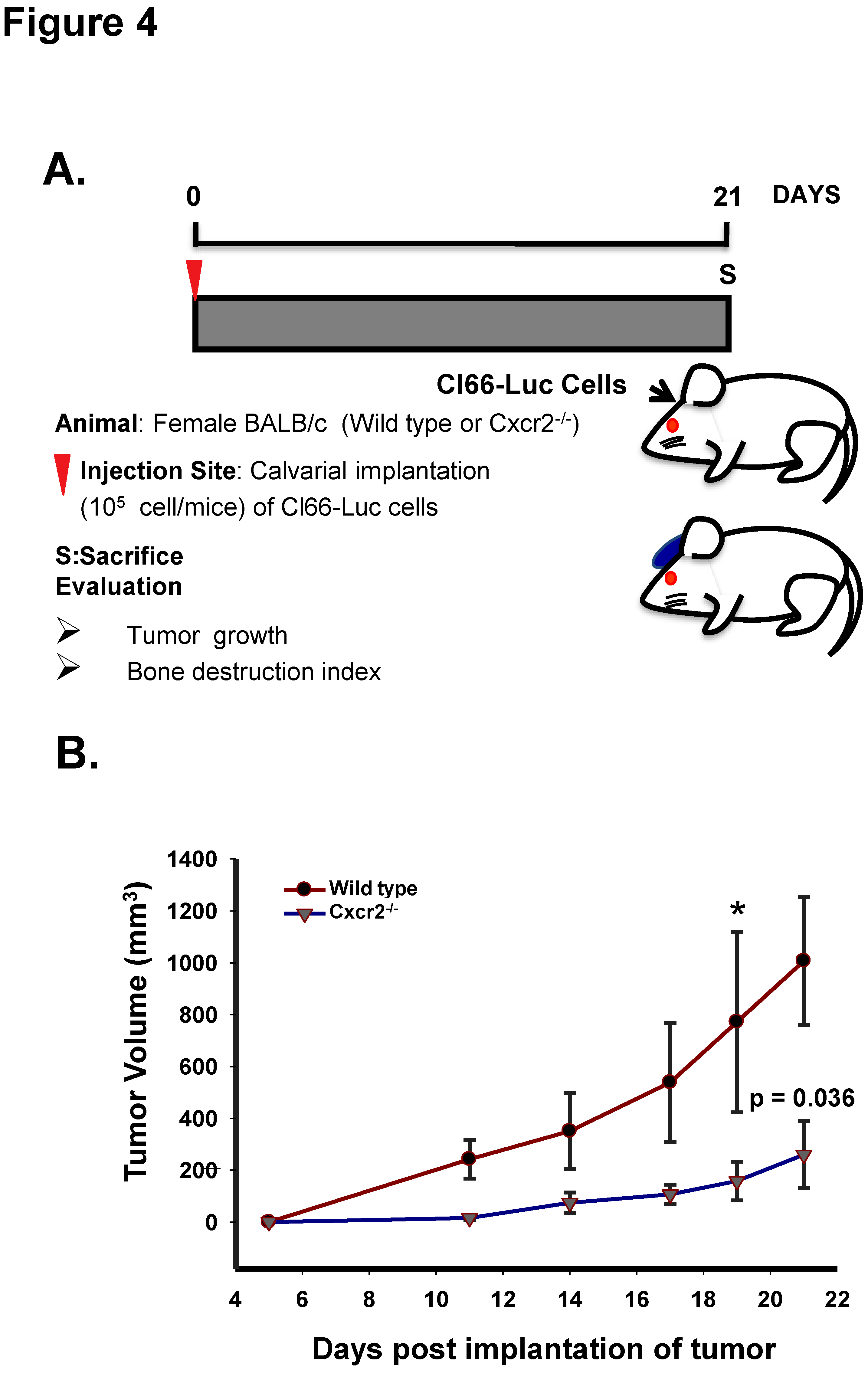 Ijms 20 01237 g004 Ijms 20 01237 g004