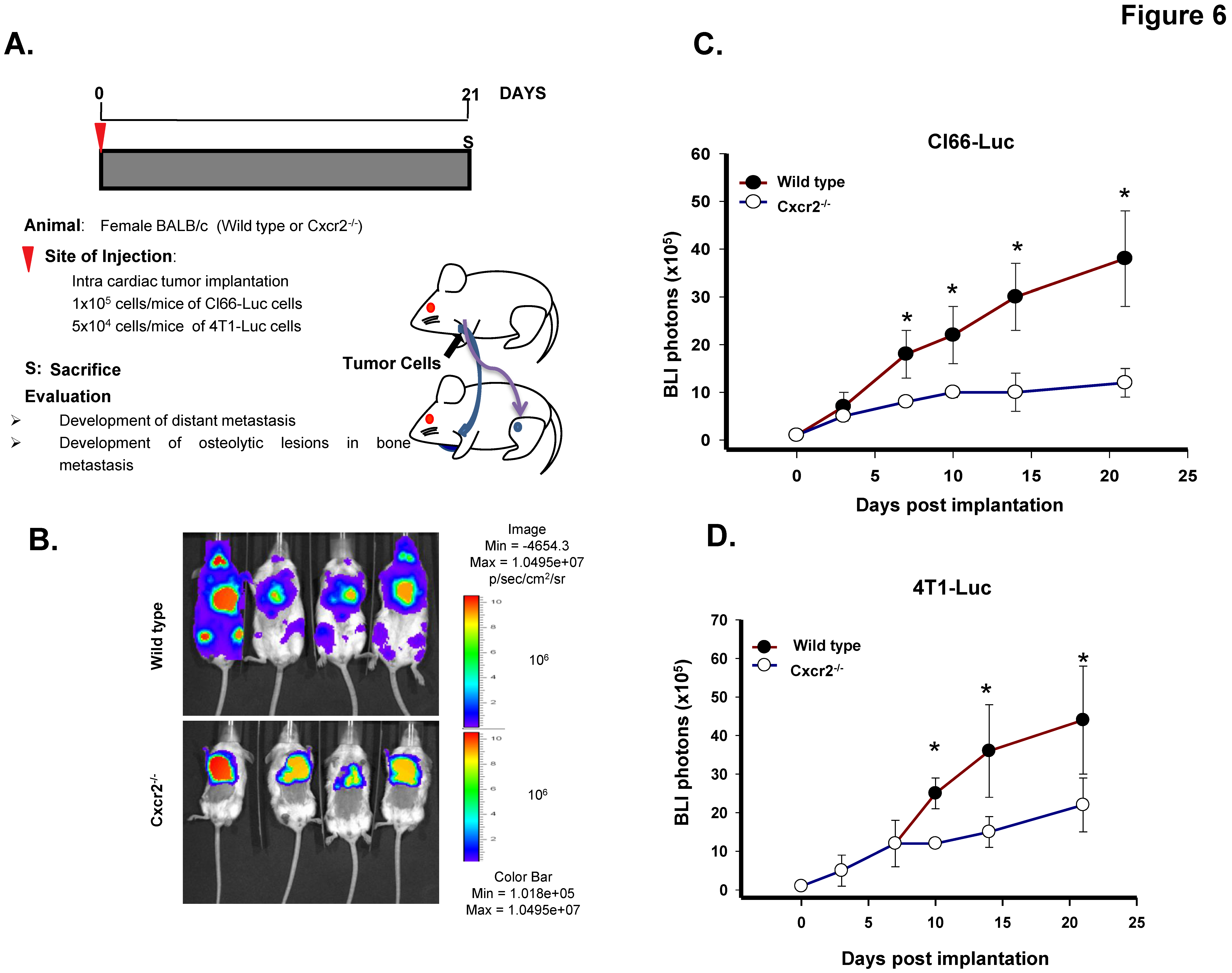 Ijms 20 01237 g006 Ijms 20 01237 g006