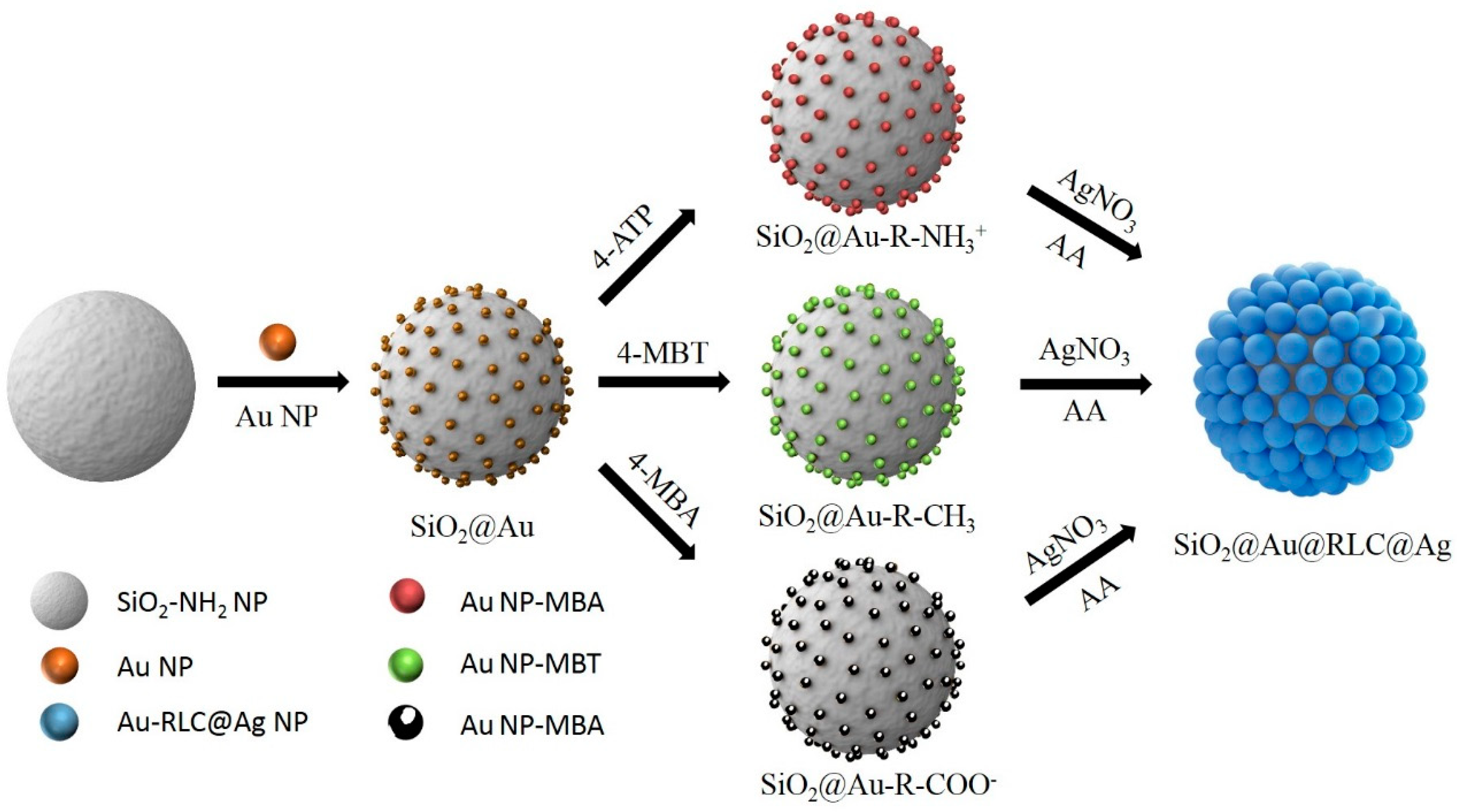 IJMS | Free Full-Text | Control of Silver Coating on Raman Label  Incorporated Gold Nanoparticles Assembled Silica Nanoparticles