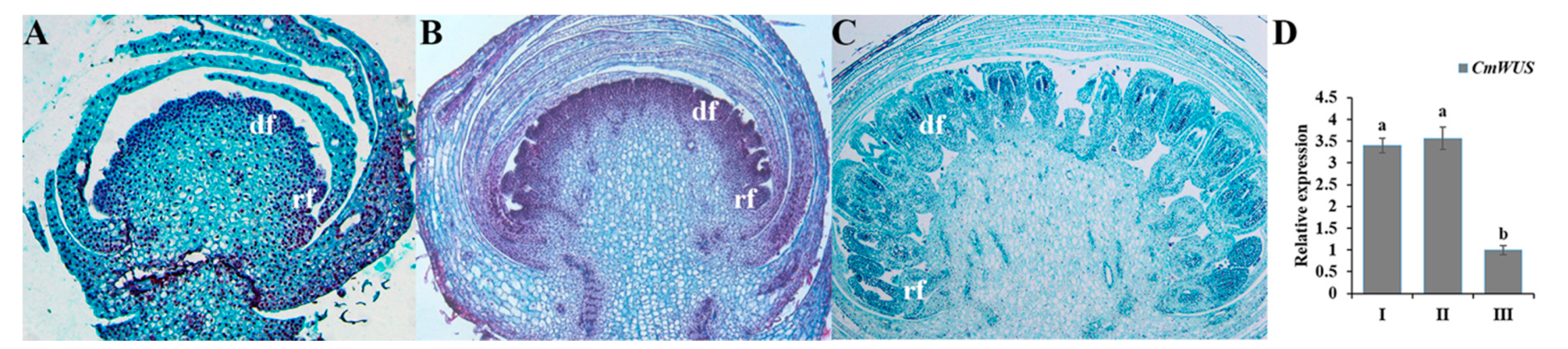 Ijms 20 01276 g002 Ijms 20 01276 g002