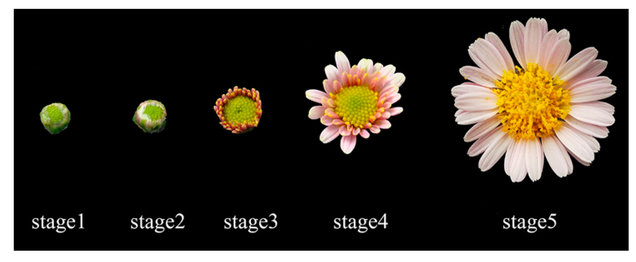 Ijms 20 01276 g003 Ijms 20 01276 g003